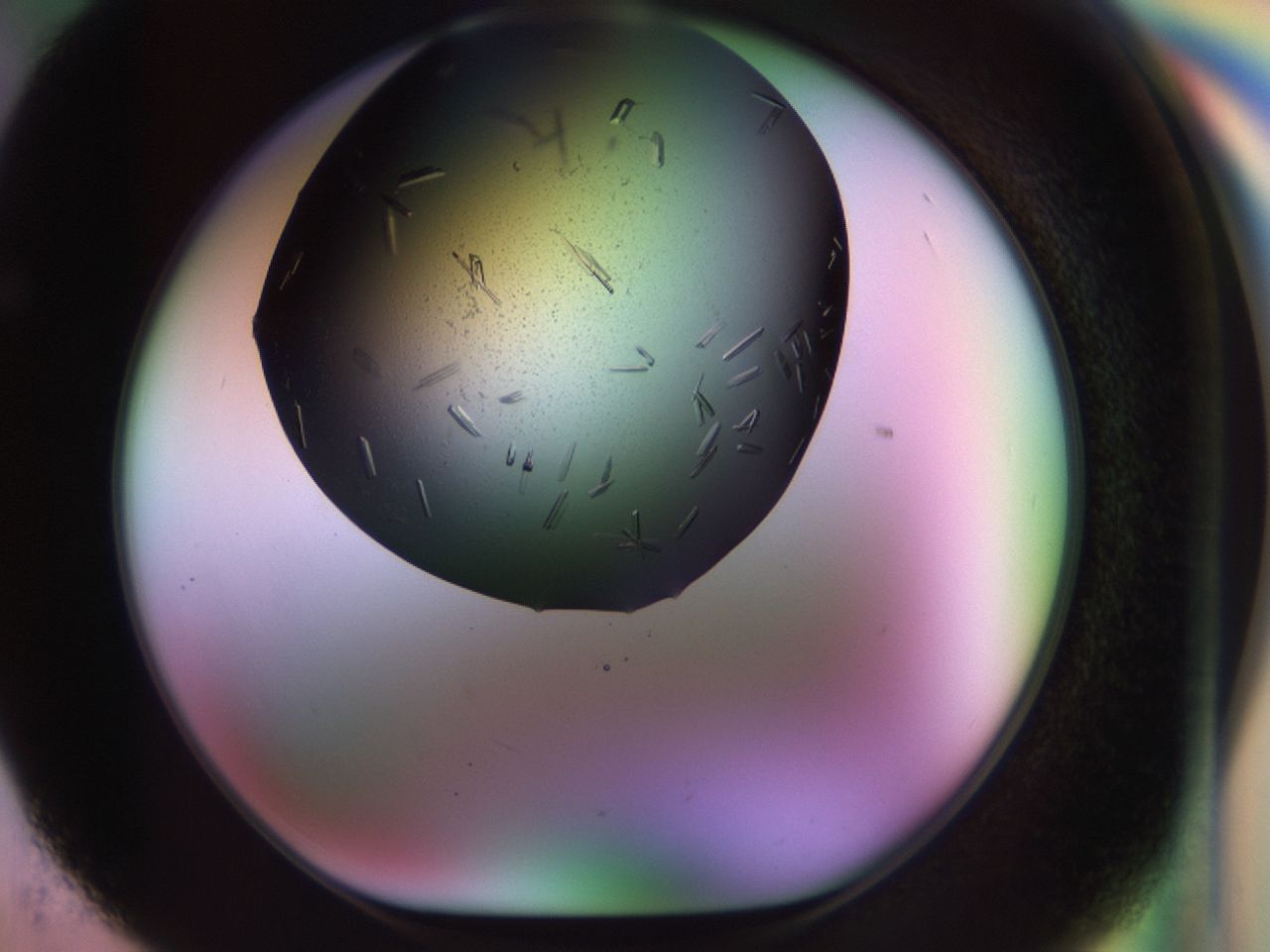02kh_F5_ImagerDefaults_9.jpg