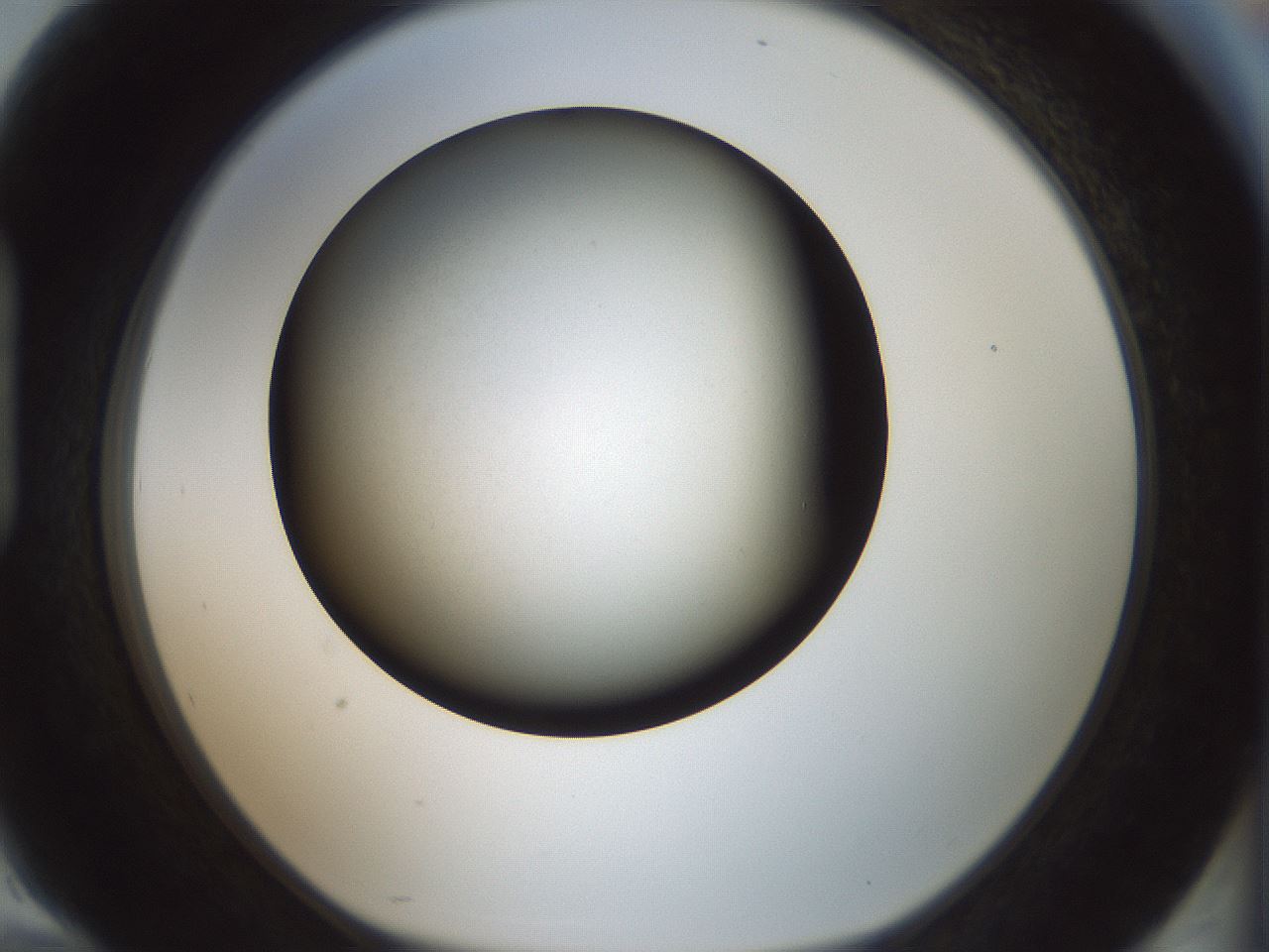 folderID349_plateID1349_batchID4704_wellNum94_profileID1_d1_r81513_ef.jpg
