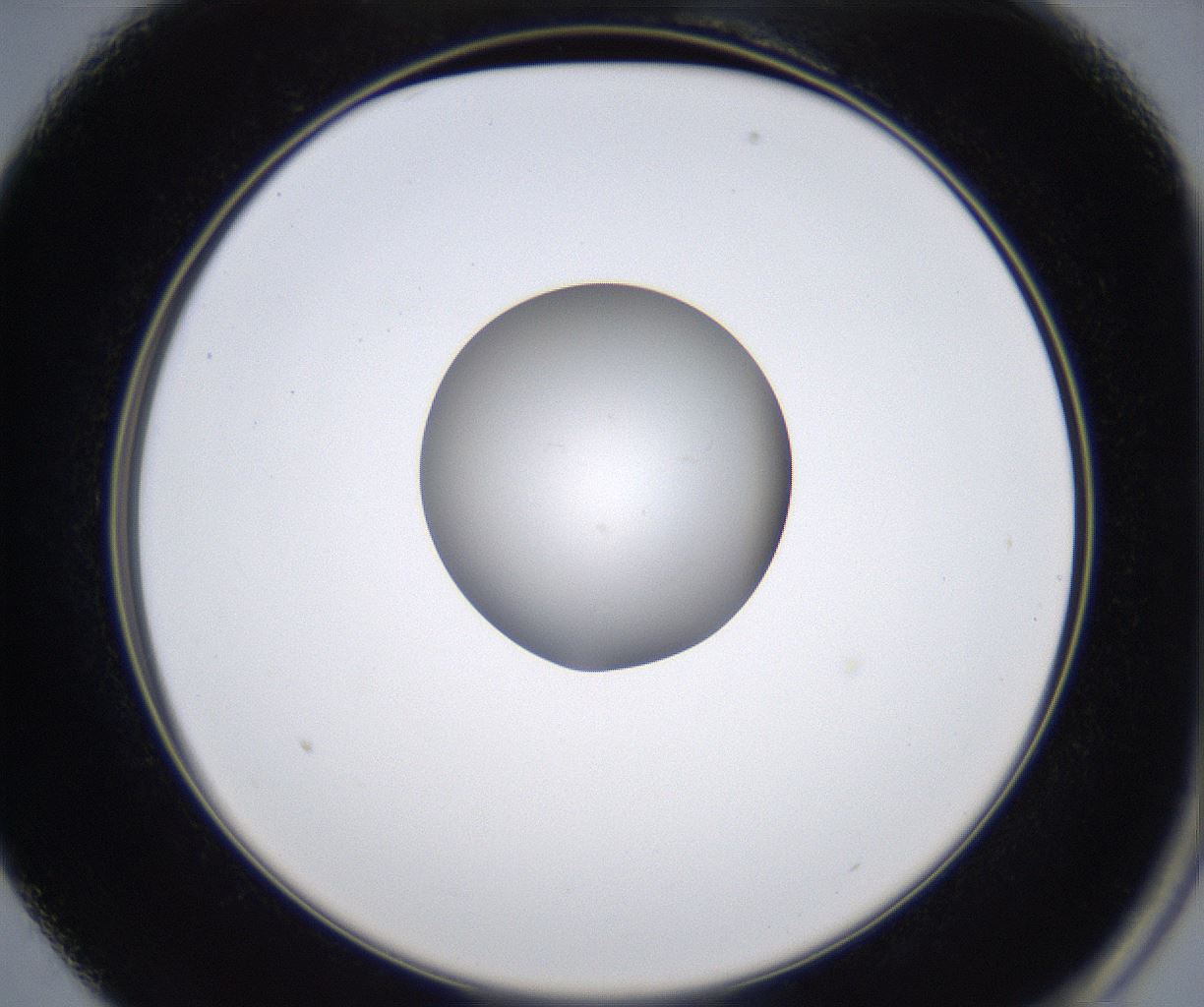 folderID349_plateID2349_batchID11067_wellNum13_profileID1_d2_r165596_ef.jpg