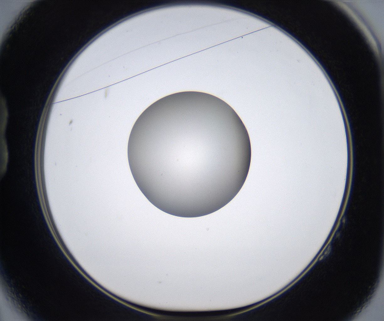 folderID349_plateID2349_batchID11067_wellNum14_profileID1_d1_r165597_ef.jpg