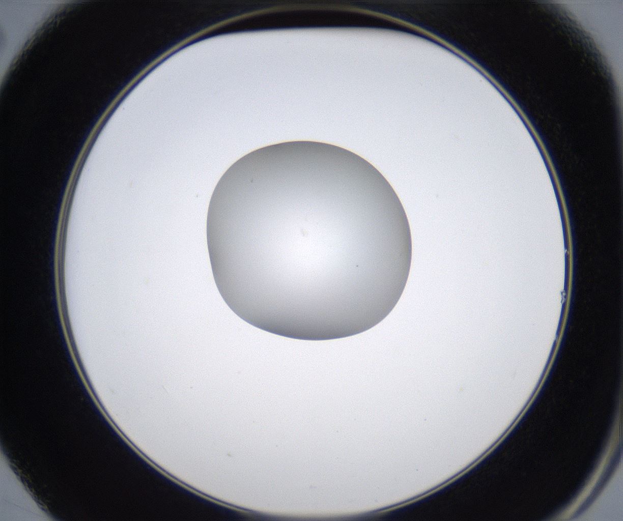 folderID349_plateID2349_batchID11067_wellNum14_profileID1_d2_r165598_ef.jpg