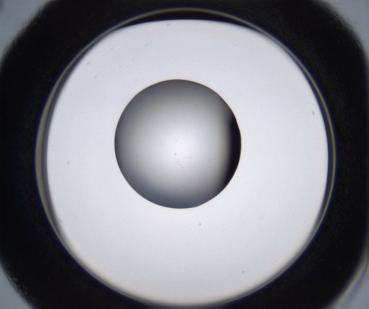 folderID349_plateID2349_batchID11067_wellNum16_profileID1_d2_r165602_ef.jpg