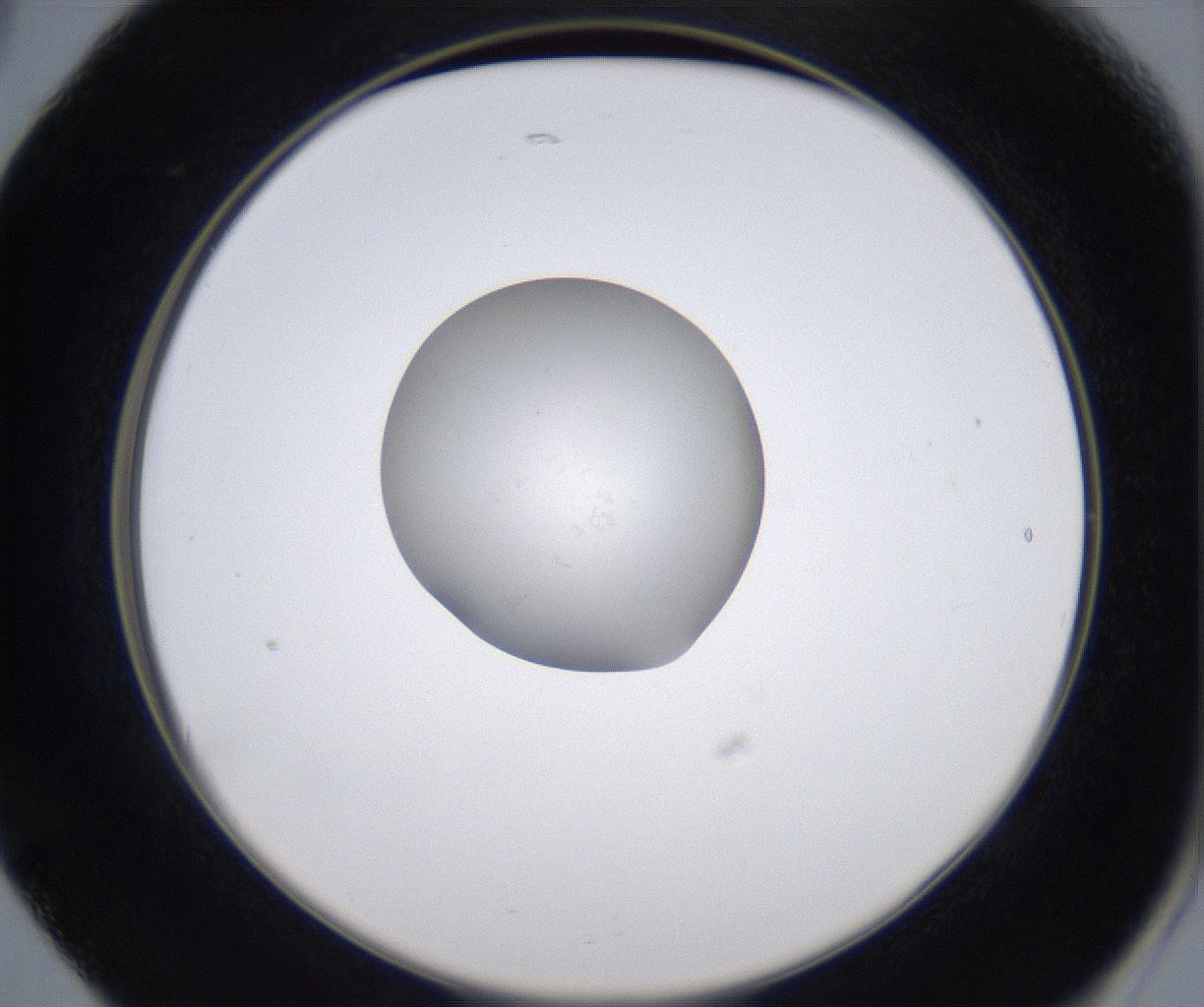 folderID349_plateID2349_batchID11067_wellNum17_profileID1_d2_r165604_ef.jpg
