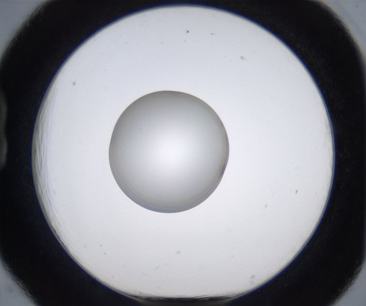 folderID349_plateID2349_batchID11067_wellNum18_profileID1_d1_r165605_ef.jpg