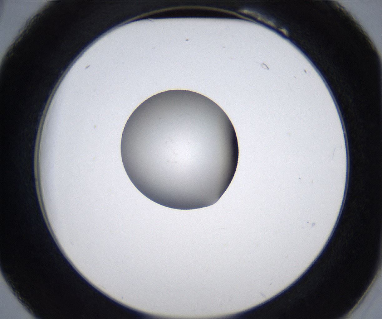 folderID349_plateID2349_batchID11067_wellNum18_profileID1_d2_r165606_ef.jpg