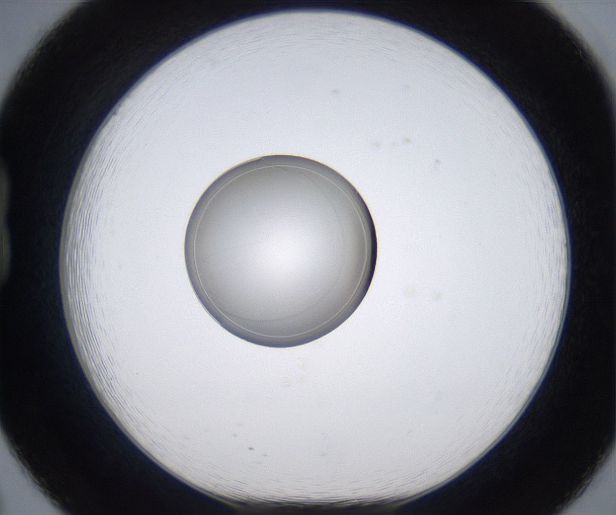 folderID349_plateID2349_batchID11067_wellNum20_profileID1_d1_r165609_ef.jpg