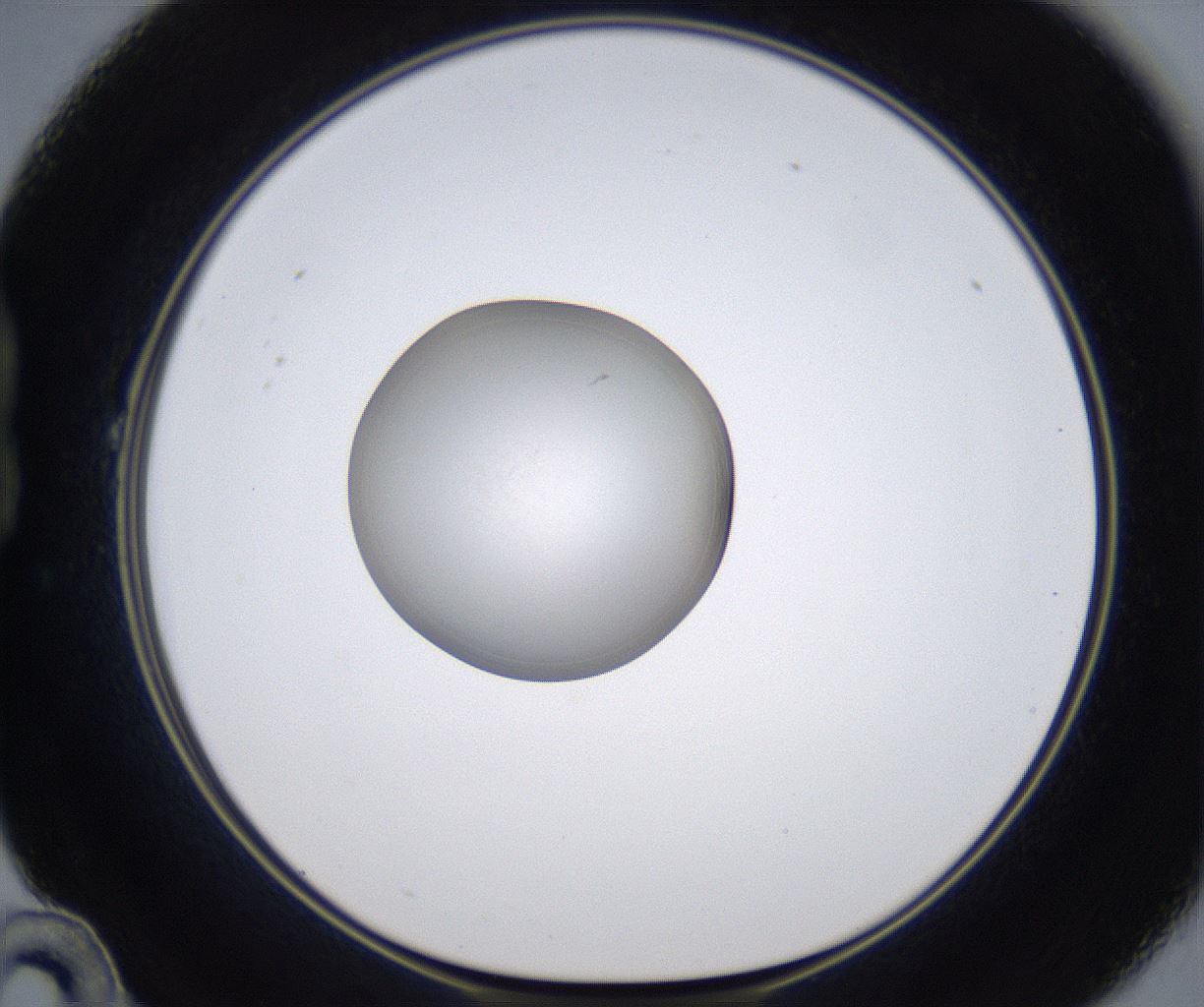 folderID349_plateID2349_batchID11067_wellNum22_profileID1_d1_r165613_ef.jpg
