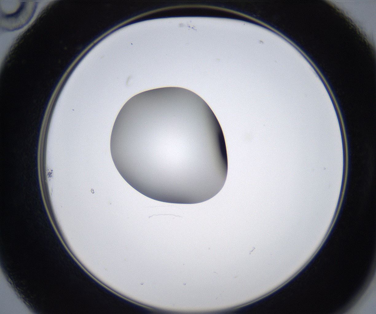 folderID349_plateID2349_batchID11067_wellNum22_profileID1_d2_r165614_ef.jpg