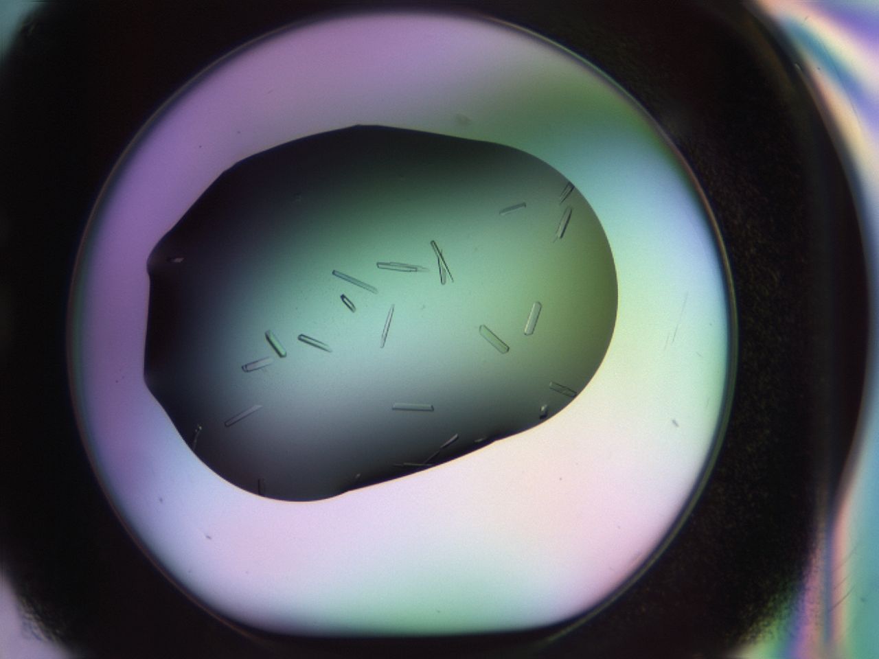 02kh_G2_ImagerDefaults_9.jpg
