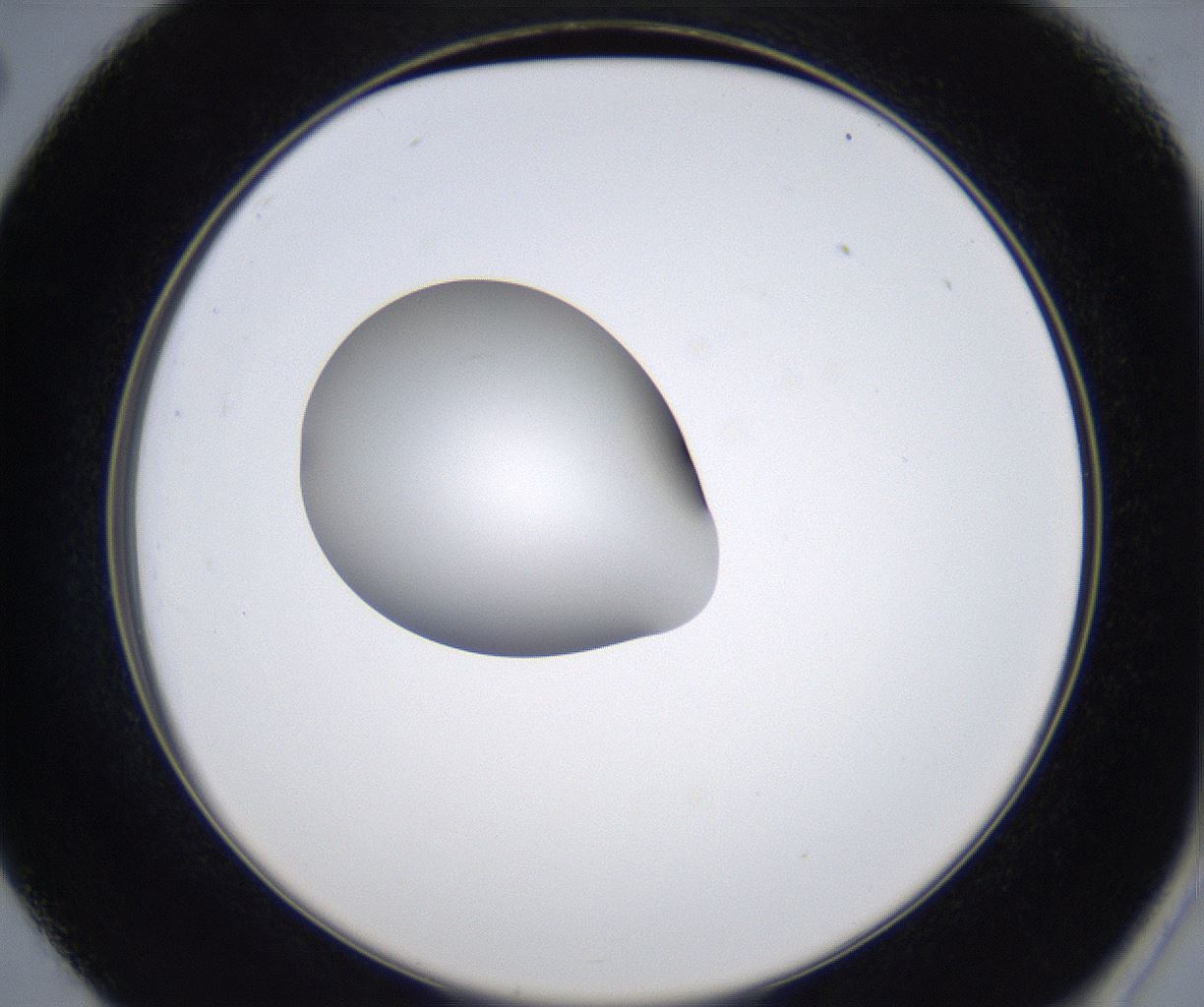 folderID349_plateID2349_batchID11067_wellNum26_profileID1_d2_r165622_ef.jpg