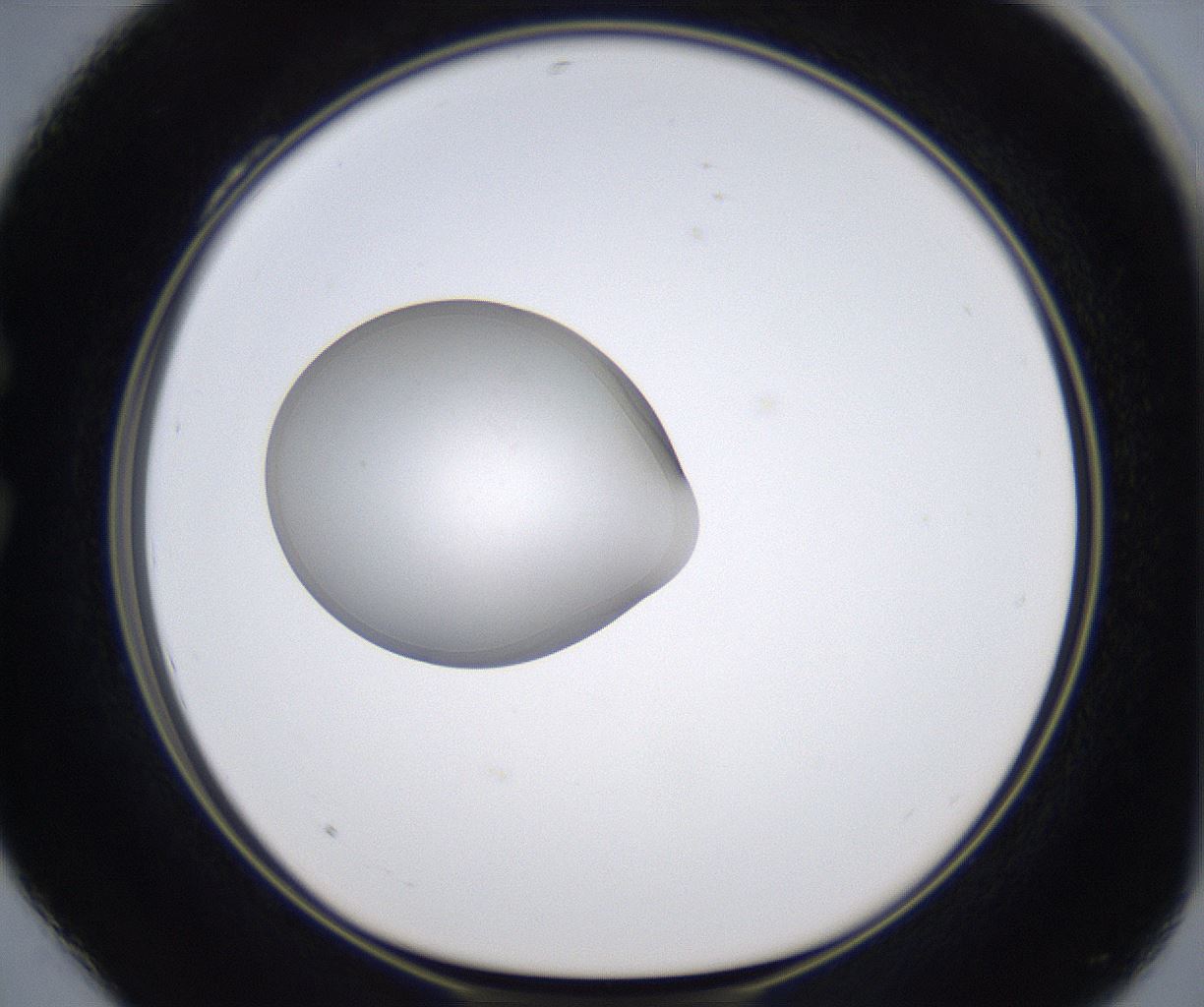 folderID349_plateID2349_batchID11067_wellNum28_profileID1_d1_r165625_ef.jpg