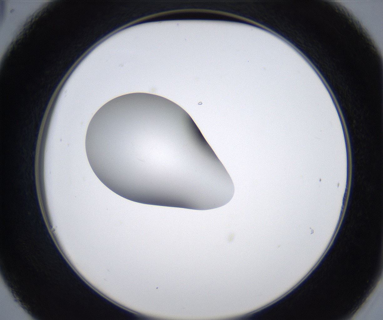 folderID349_plateID2349_batchID11067_wellNum30_profileID1_d2_r165630_ef.jpg