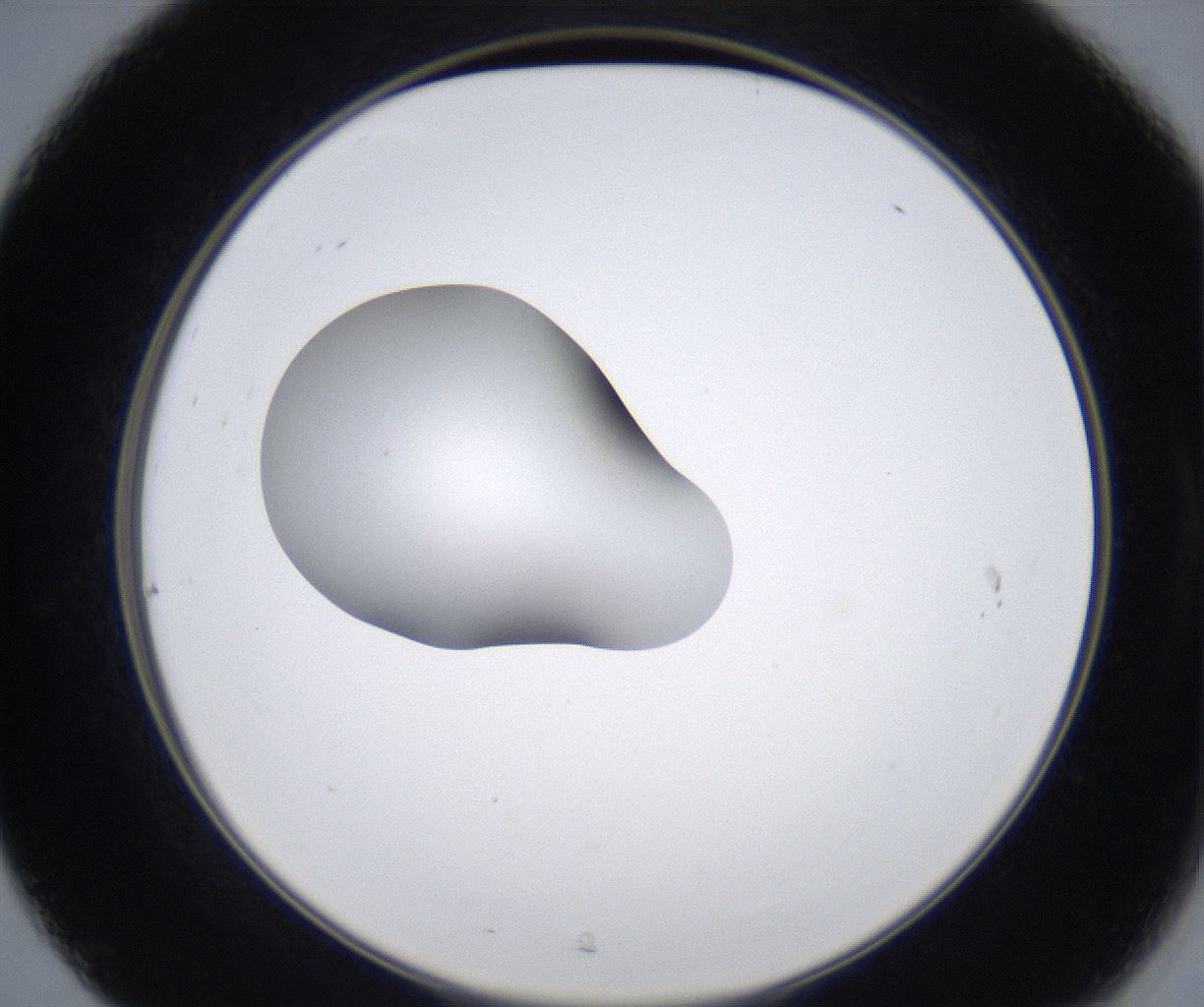 folderID349_plateID2349_batchID11067_wellNum31_profileID1_d2_r165632_ef.jpg