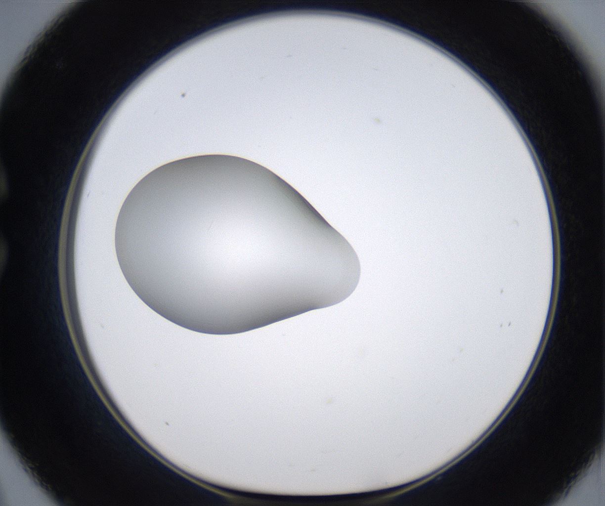 folderID349_plateID2349_batchID11067_wellNum33_profileID1_d1_r165635_ef.jpg