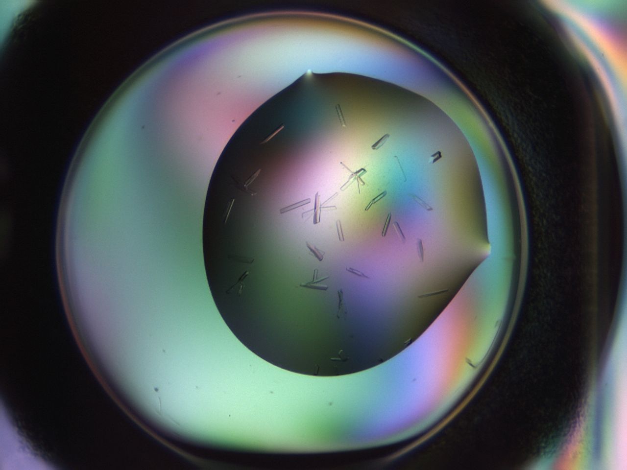 02kh_G3_ImagerDefaults_9.jpg