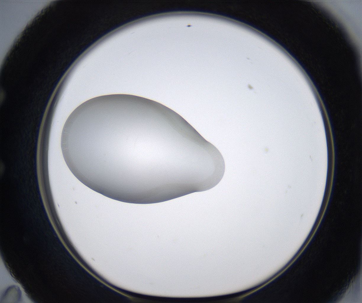 folderID349_plateID2349_batchID11067_wellNum59_profileID1_d1_r165687_ef.jpg
