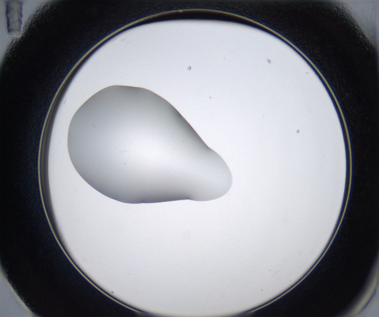 folderID349_plateID2349_batchID11067_wellNum59_profileID1_d2_r165688_ef.jpg