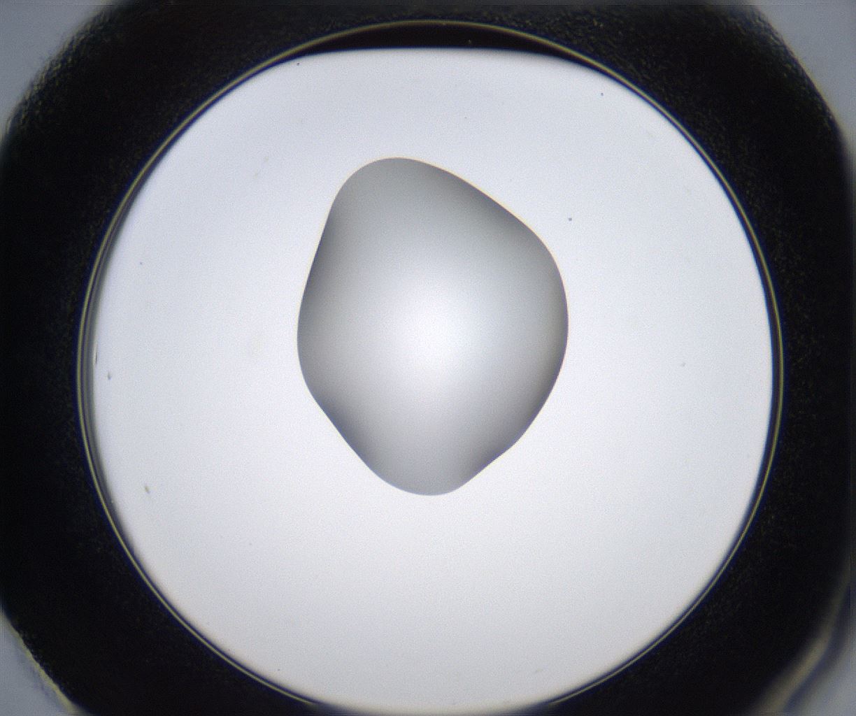 folderID349_plateID2349_batchID11067_wellNum61_profileID1_d2_r165692_ef.jpg