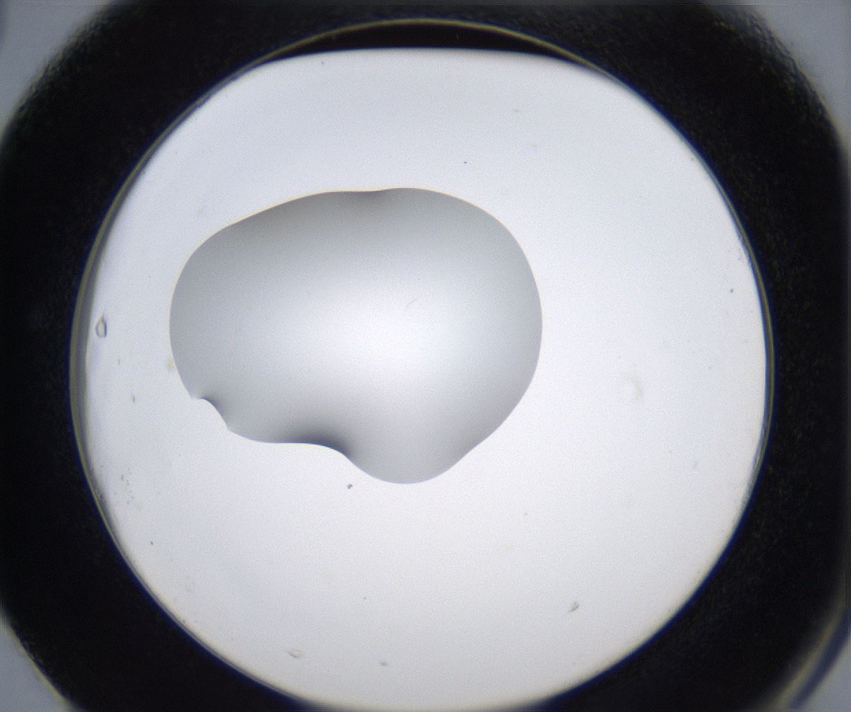 folderID349_plateID2349_batchID11067_wellNum63_profileID1_d2_r165696_ef.jpg