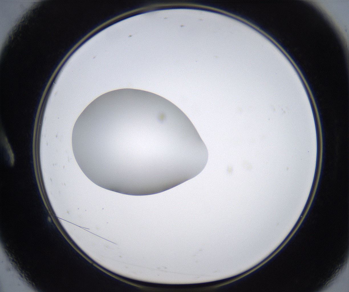 folderID349_plateID2349_batchID11067_wellNum9_profileID1_d1_r165587_ef.jpg