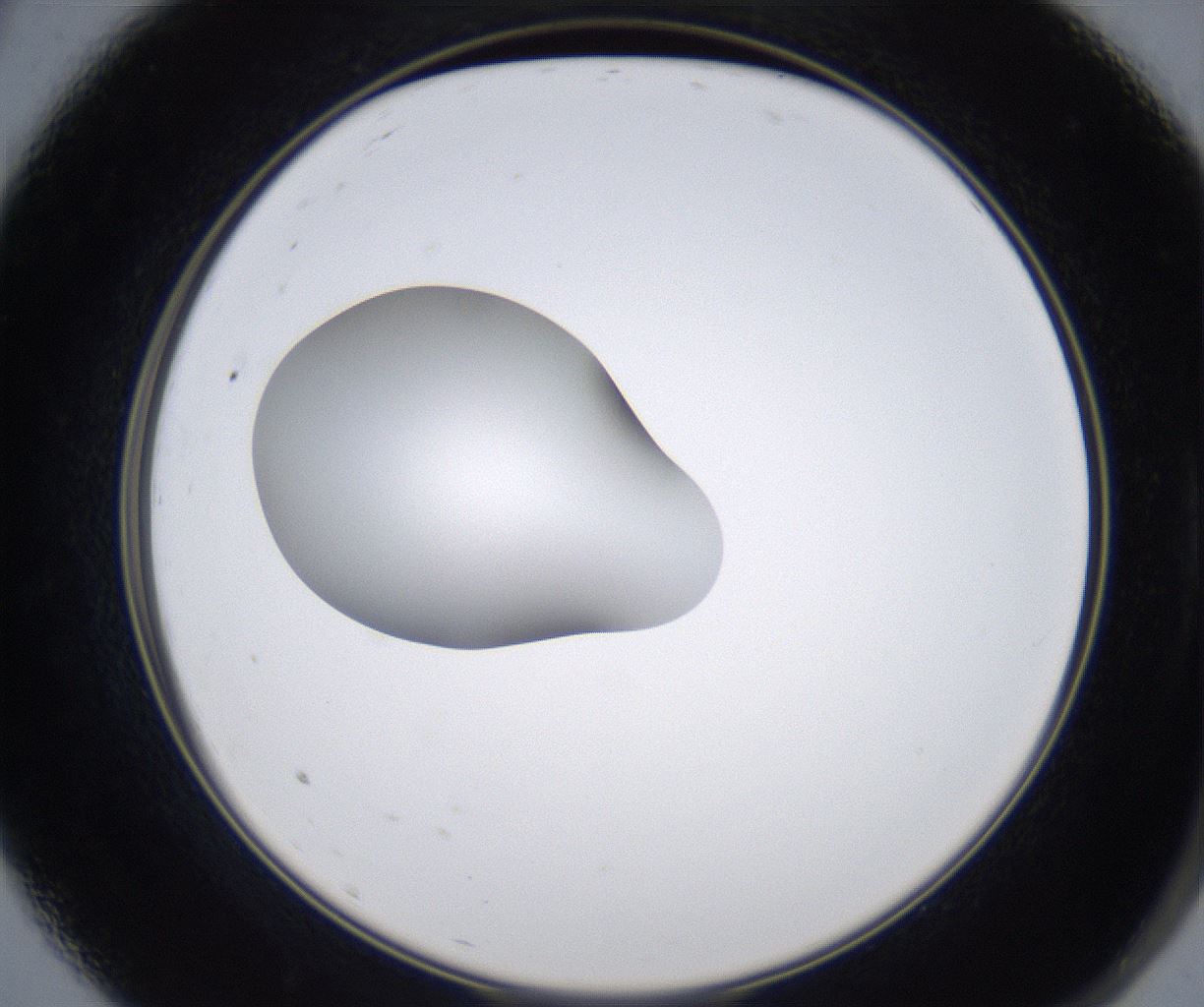folderID349_plateID2349_batchID11067_wellNum9_profileID1_d2_r165588_ef.jpg