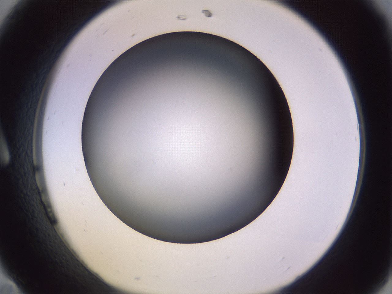 folderID350_plateID1350_batchID4705_wellNum11_profileID1_d1_r81334_ef.jpg