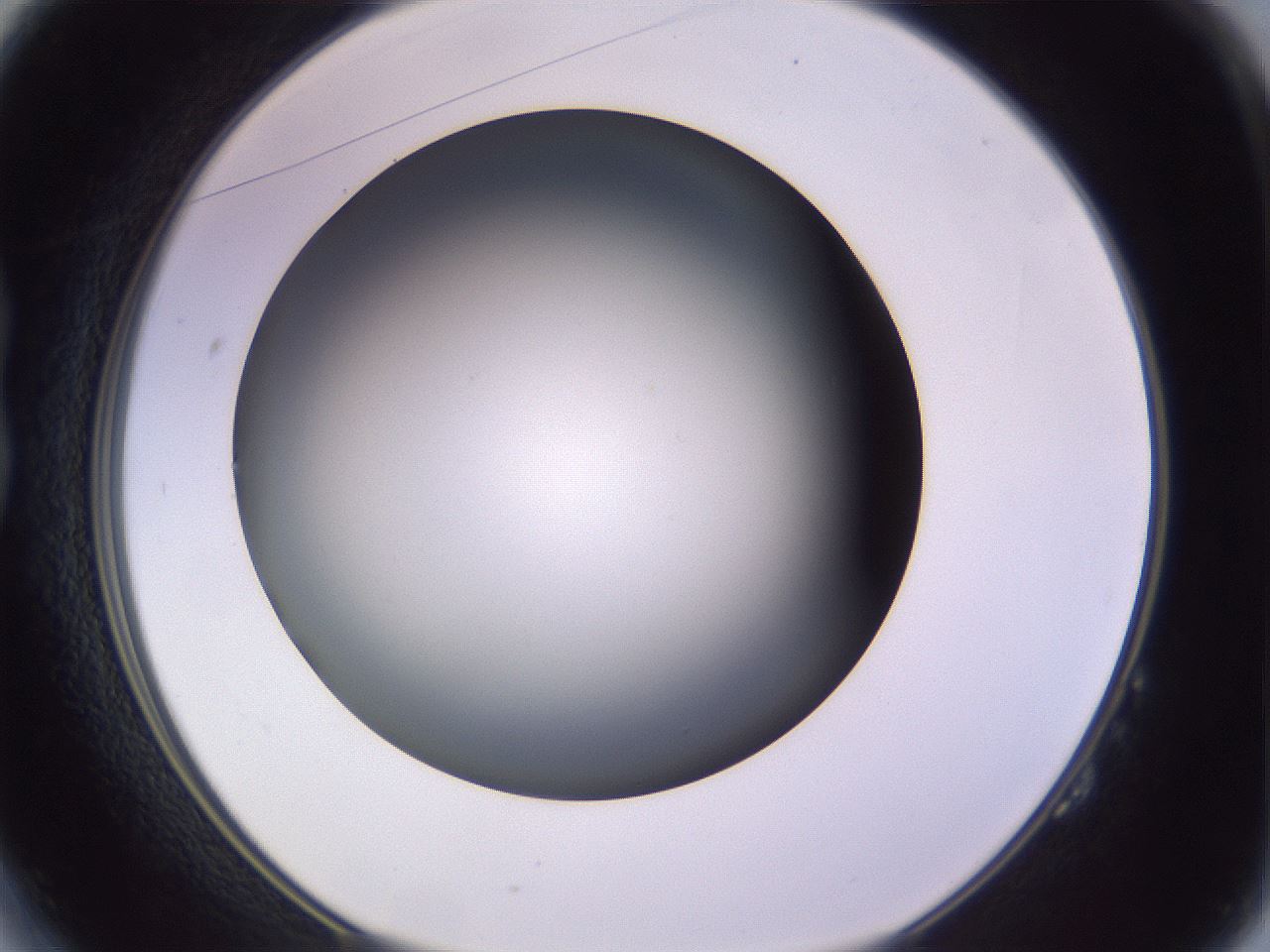 folderID350_plateID1350_batchID4705_wellNum14_profileID1_d1_r81337_ef.jpg