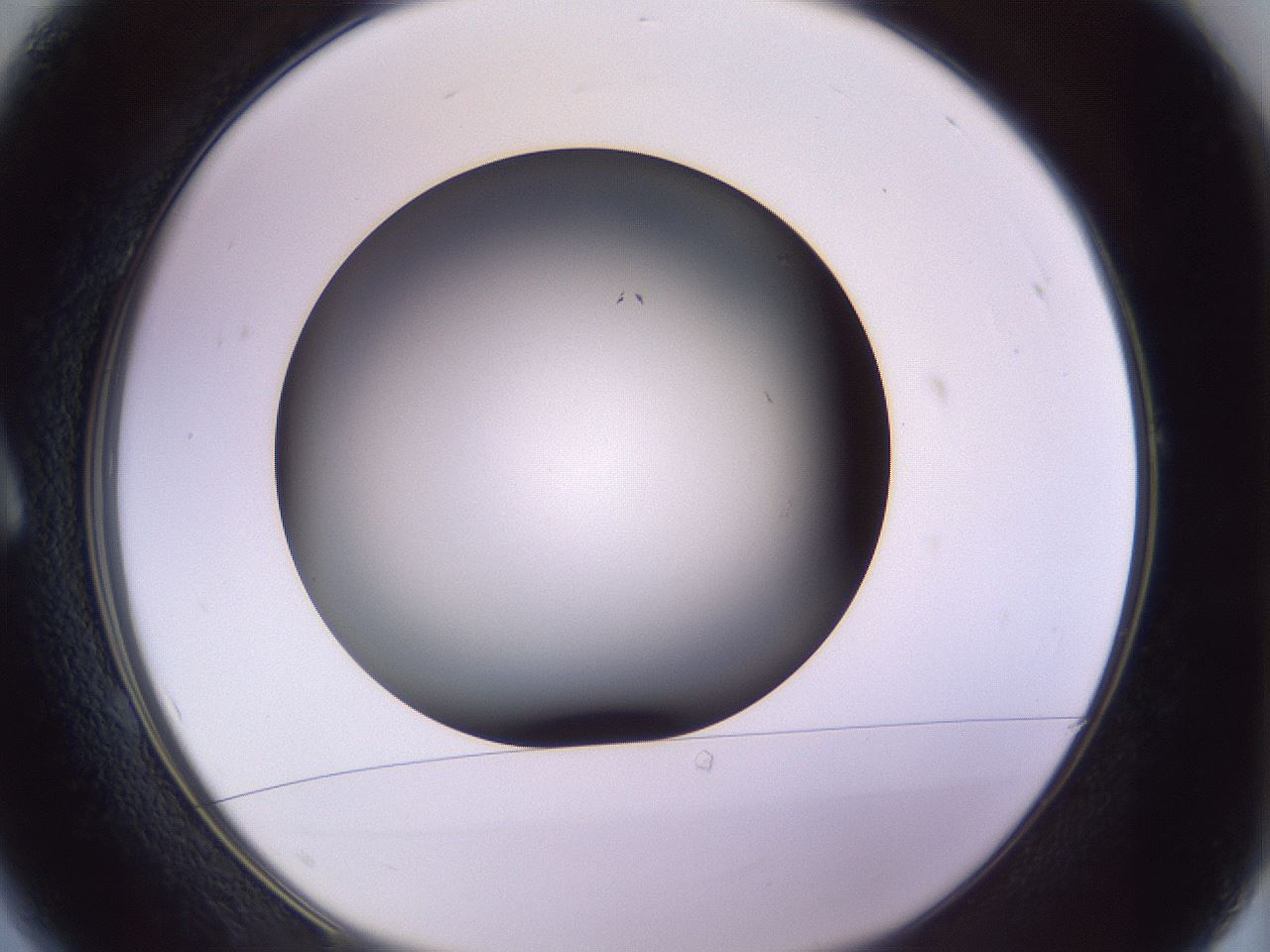 folderID350_plateID1350_batchID4705_wellNum1_profileID1_d1_r81324_ef.jpg
