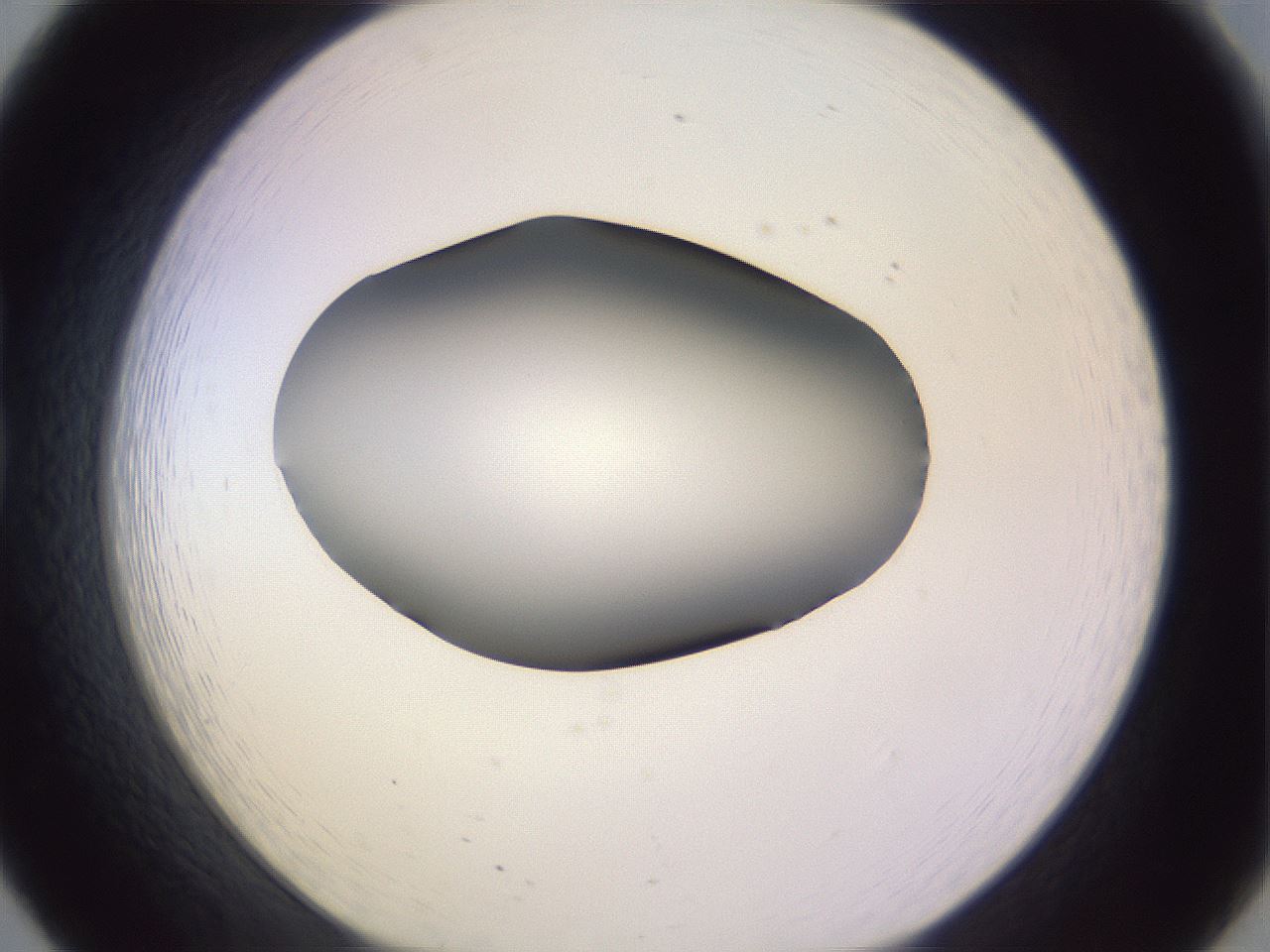 folderID350_plateID1350_batchID4705_wellNum20_profileID1_d1_r81343_ef.jpg