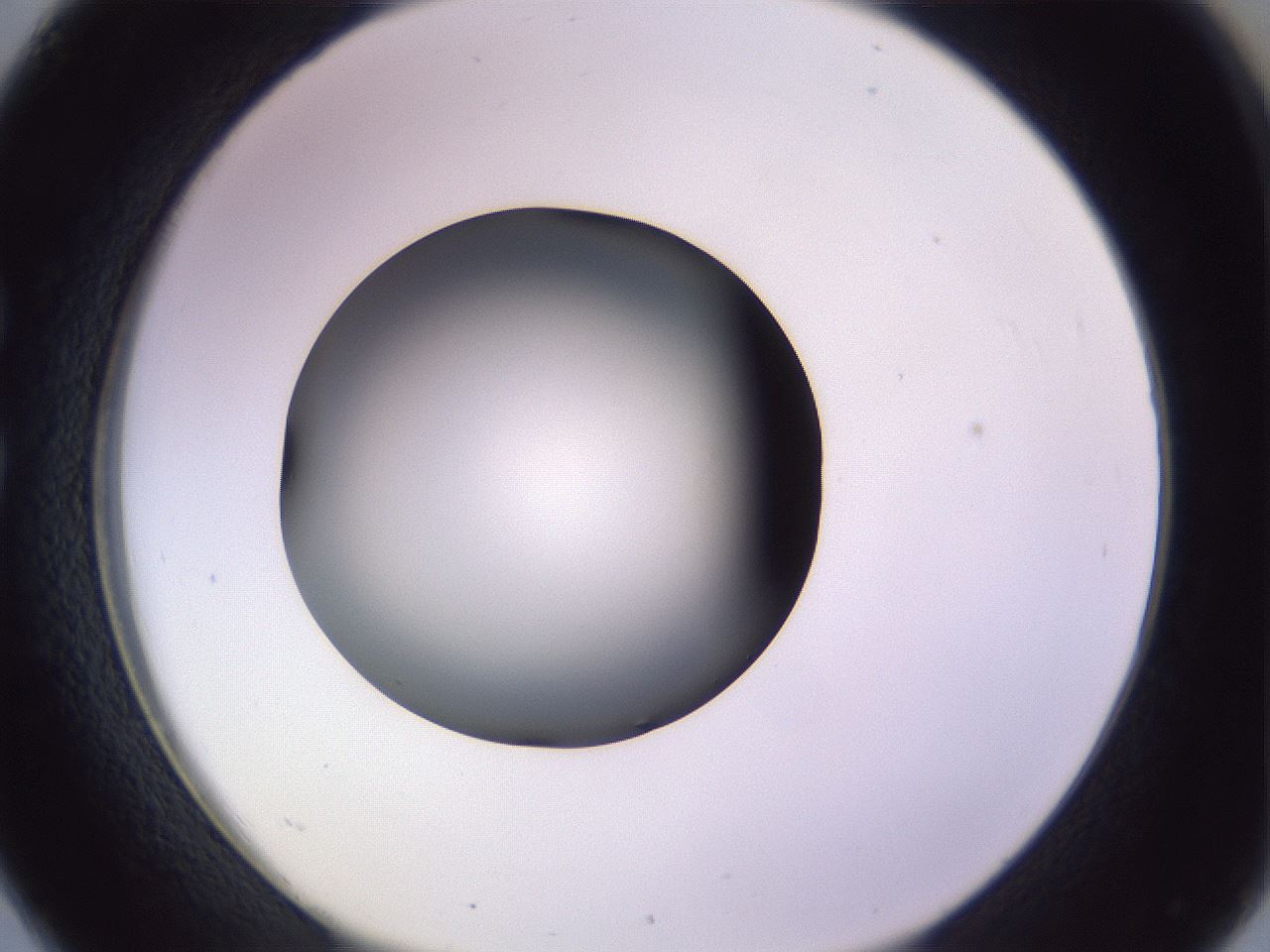 folderID350_plateID1350_batchID4705_wellNum26_profileID1_d1_r81349_ef.jpg