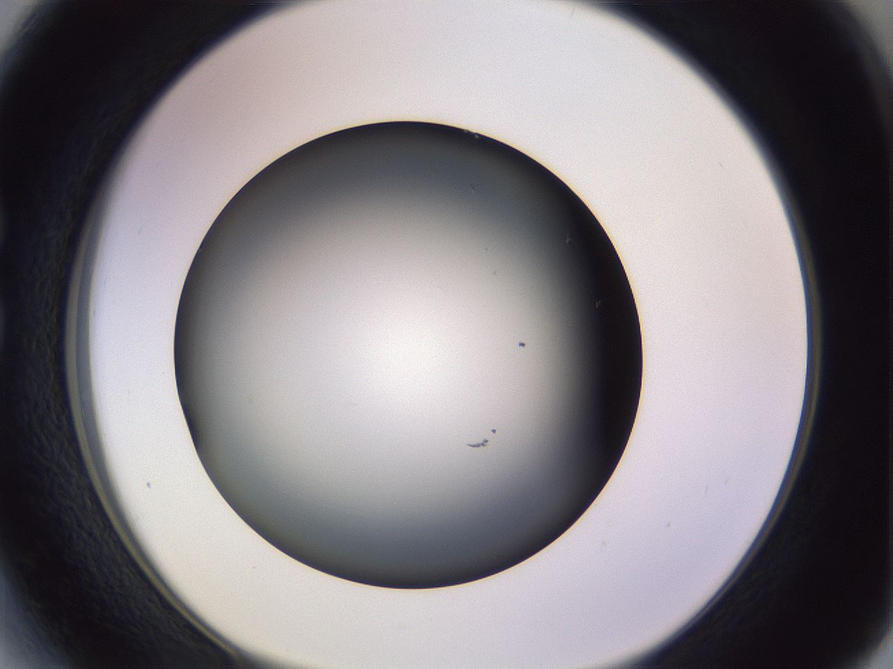 folderID350_plateID1350_batchID4705_wellNum27_profileID1_d1_r81350_ef.jpg