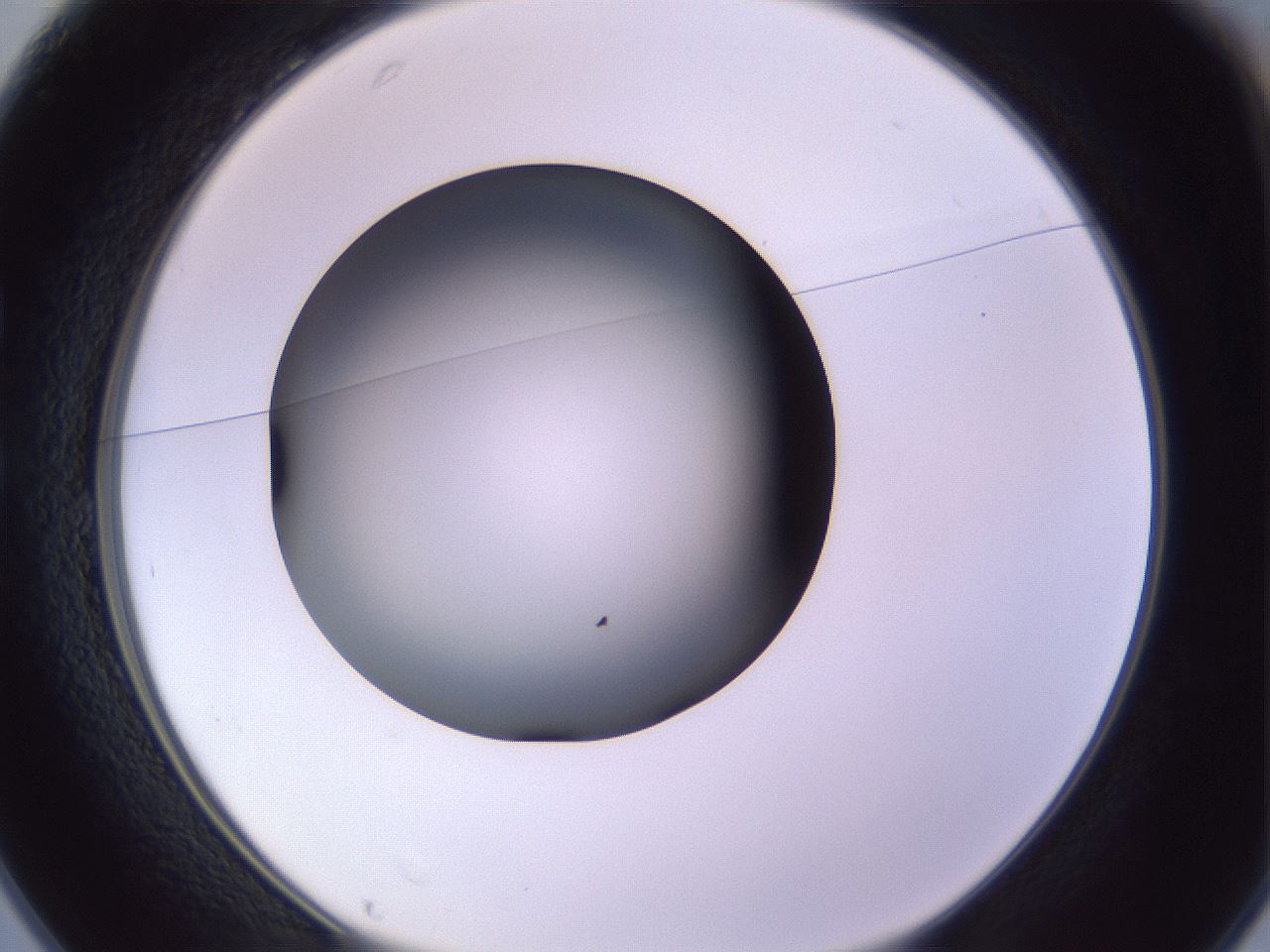 folderID350_plateID1350_batchID4705_wellNum25_profileID1_d1_r81348_ef.jpg