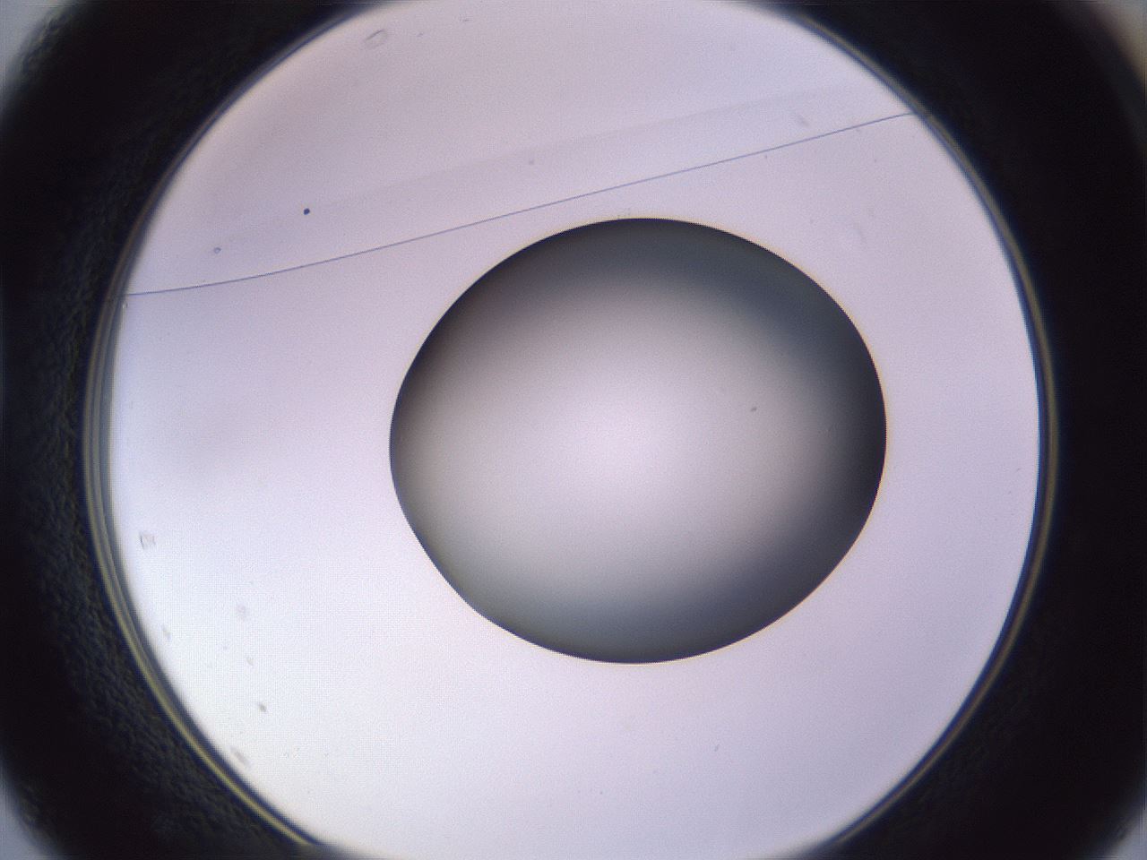 folderID350_plateID1350_batchID4705_wellNum37_profileID1_d1_r81360_ef.jpg