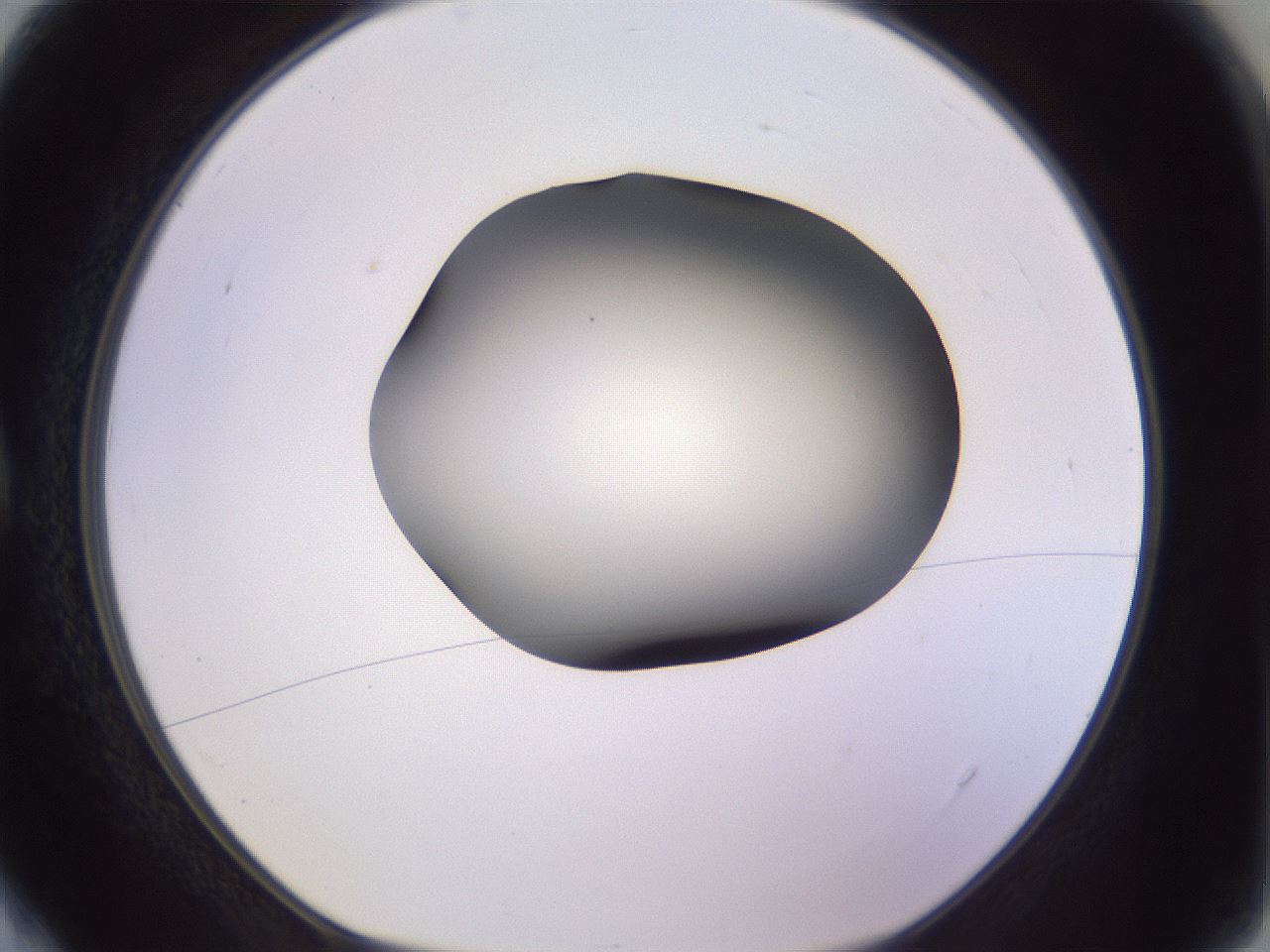 folderID350_plateID1350_batchID4705_wellNum4_profileID1_d1_r81327_ef.jpg