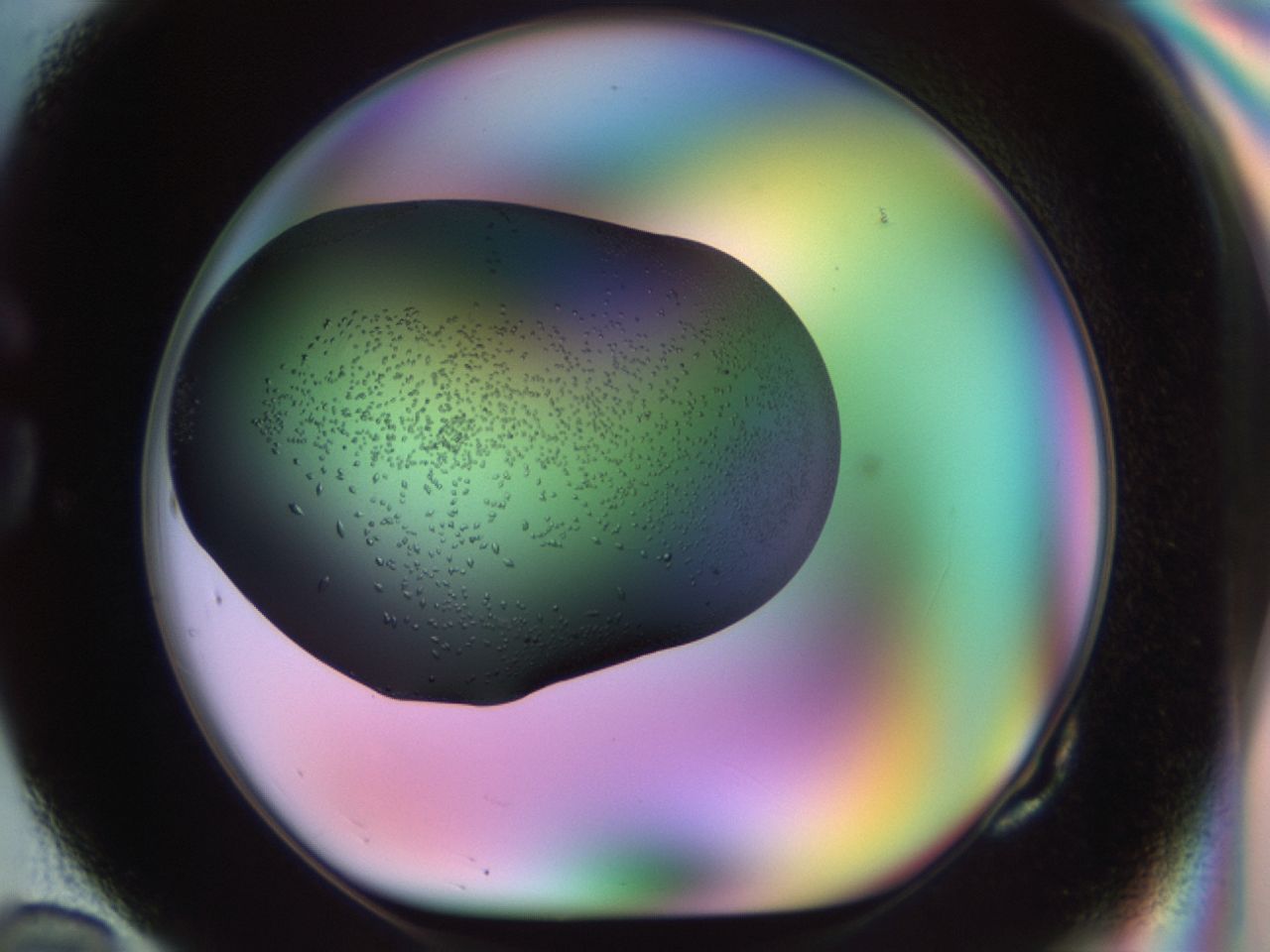 02kh_G10_ImagerDefaults_9.jpg