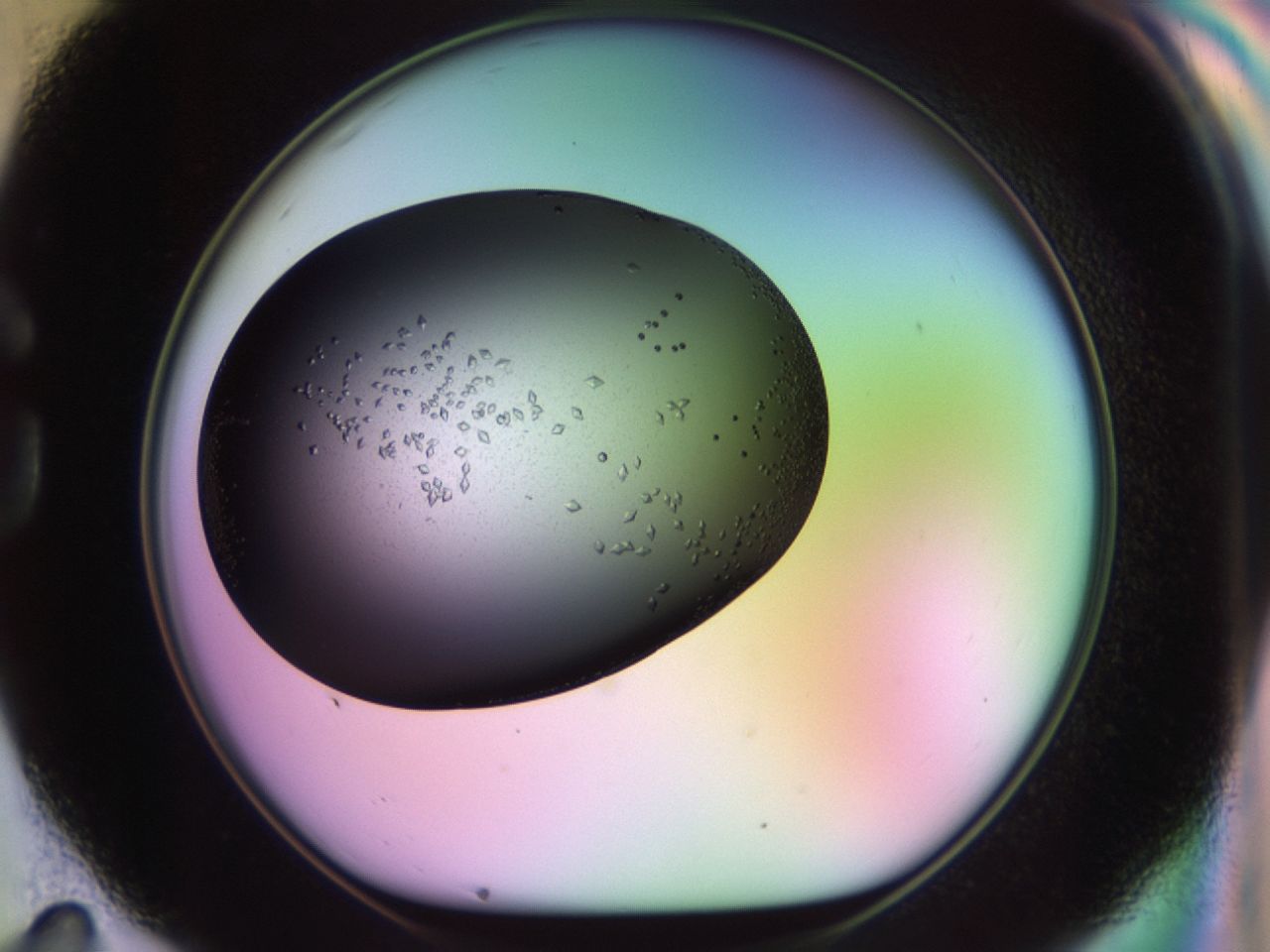 02kh_G11_ImagerDefaults_9.jpg