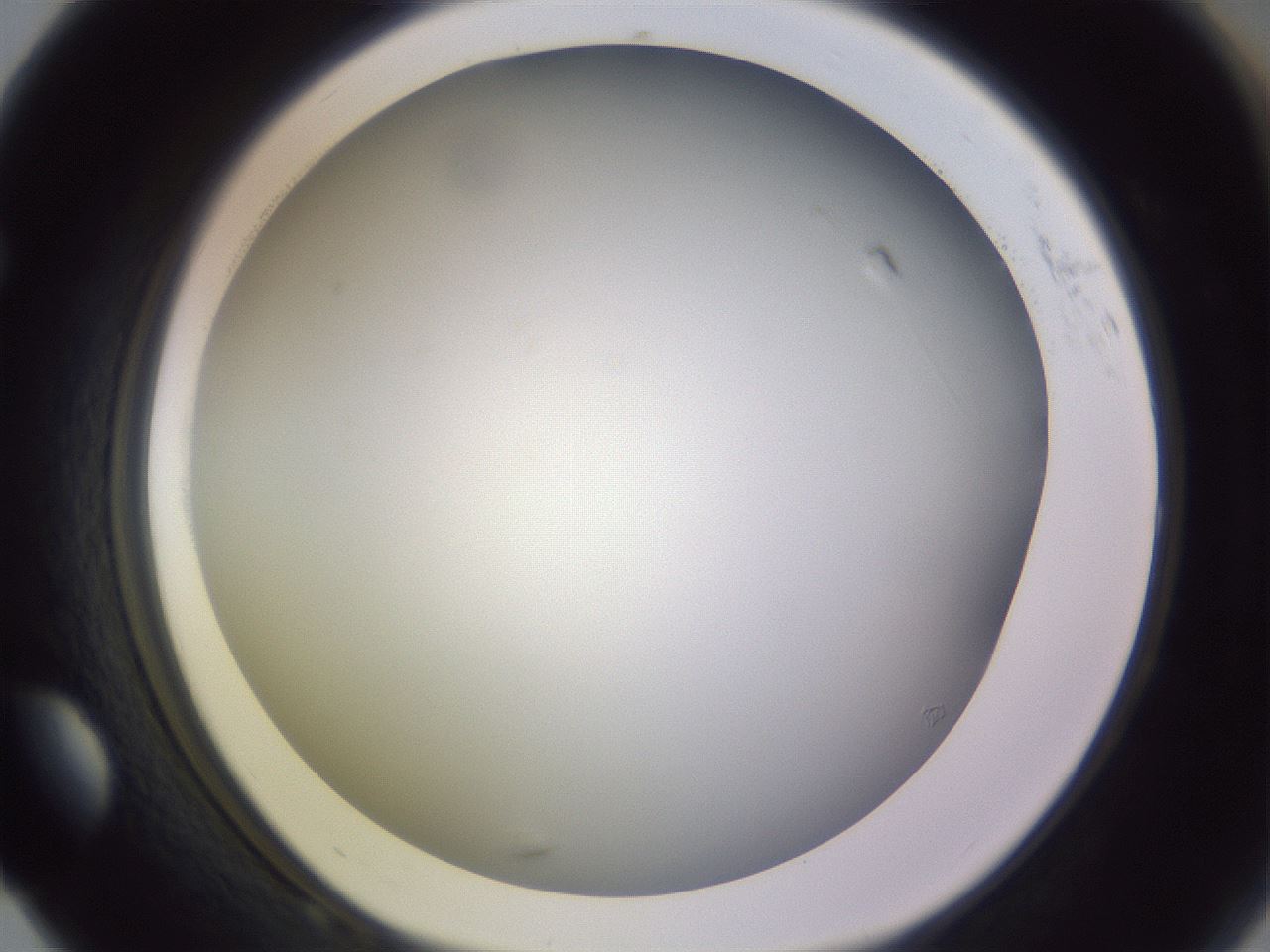 folderID350_plateID1350_batchID4705_wellNum68_profileID1_d1_r81391_ef.jpg