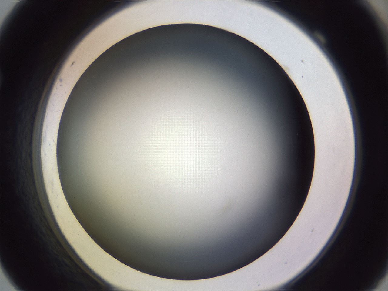 folderID350_plateID1350_batchID4705_wellNum69_profileID1_d1_r81392_ef.jpg