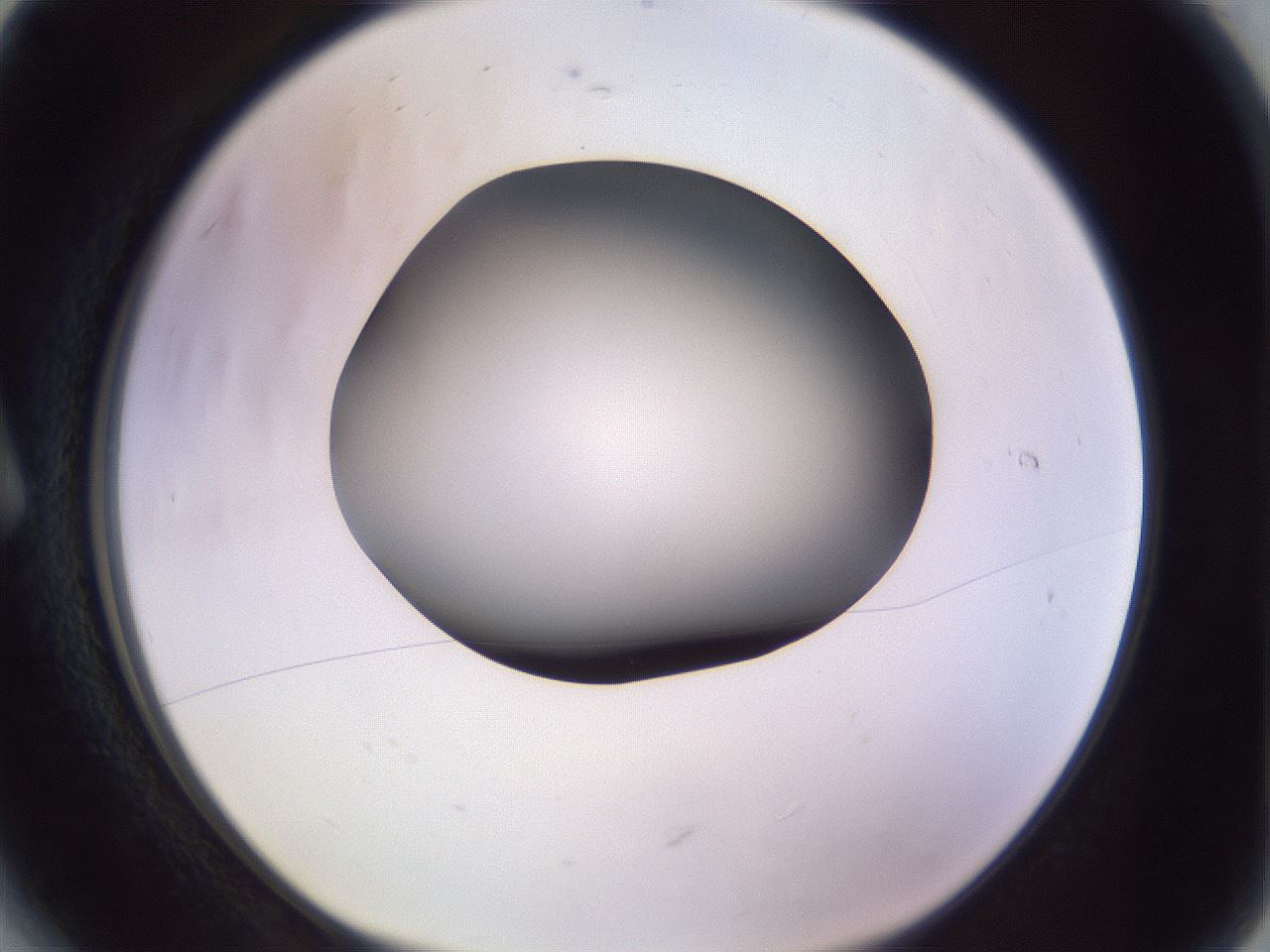 folderID350_plateID1350_batchID4705_wellNum6_profileID1_d1_r81329_ef.jpg