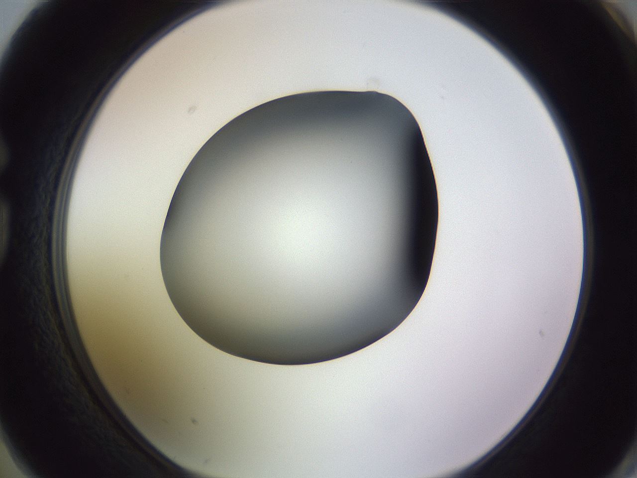 folderID350_plateID1350_batchID4705_wellNum74_profileID1_d1_r81397_ef.jpg