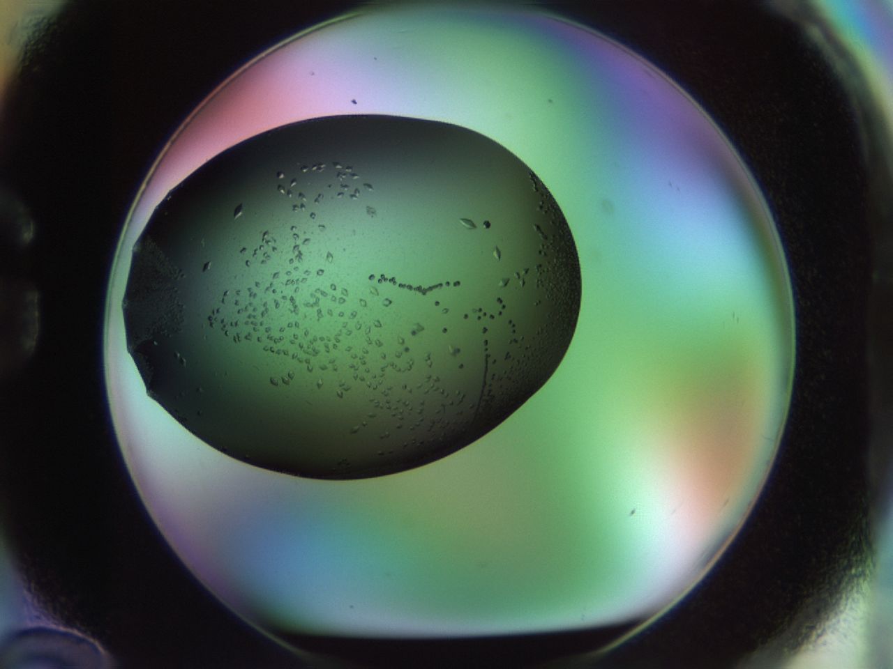 02kh_G12_ImagerDefaults_9.jpg