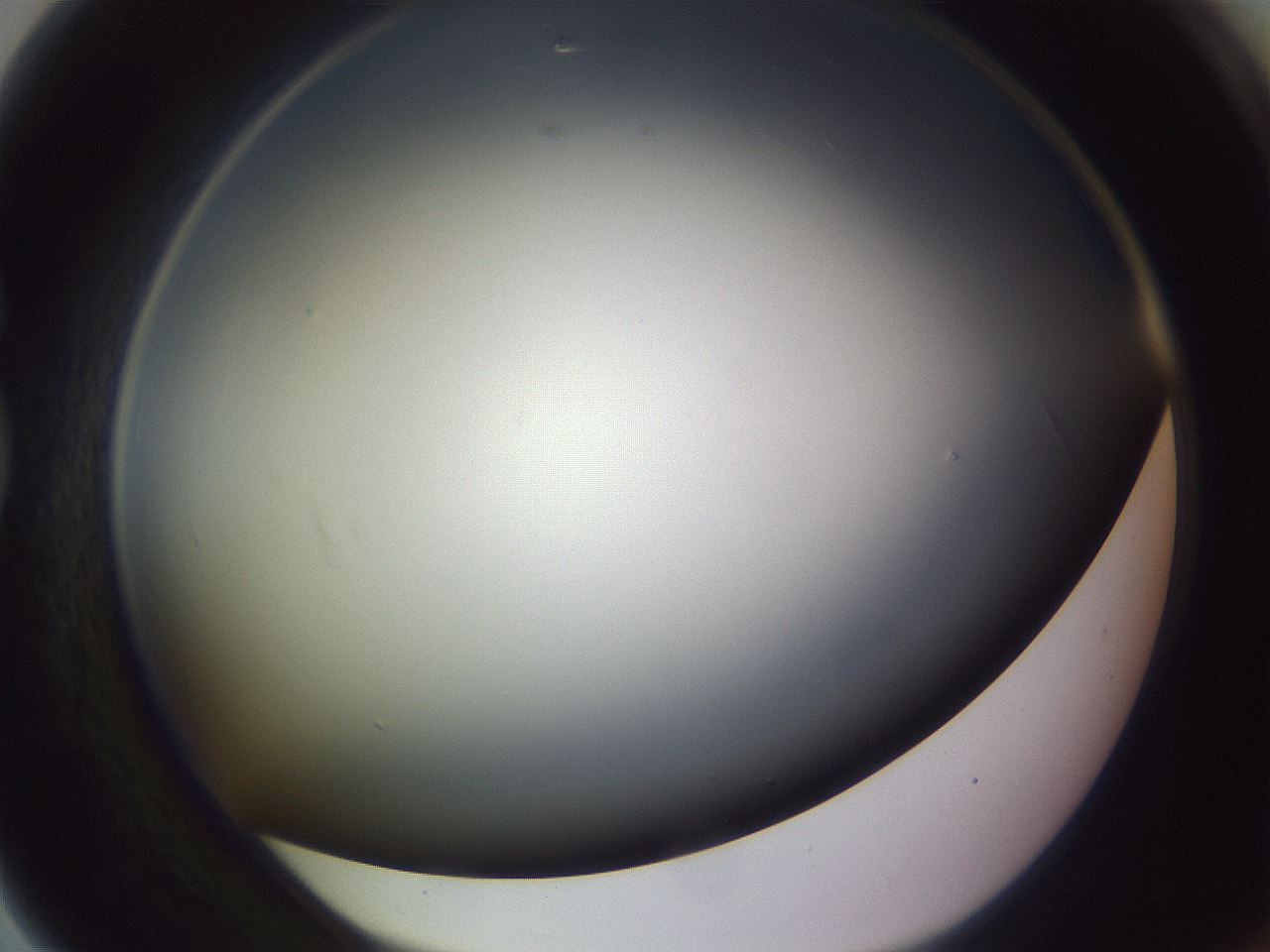 folderID350_plateID1350_batchID4705_wellNum79_profileID1_d1_r81402_ef.jpg