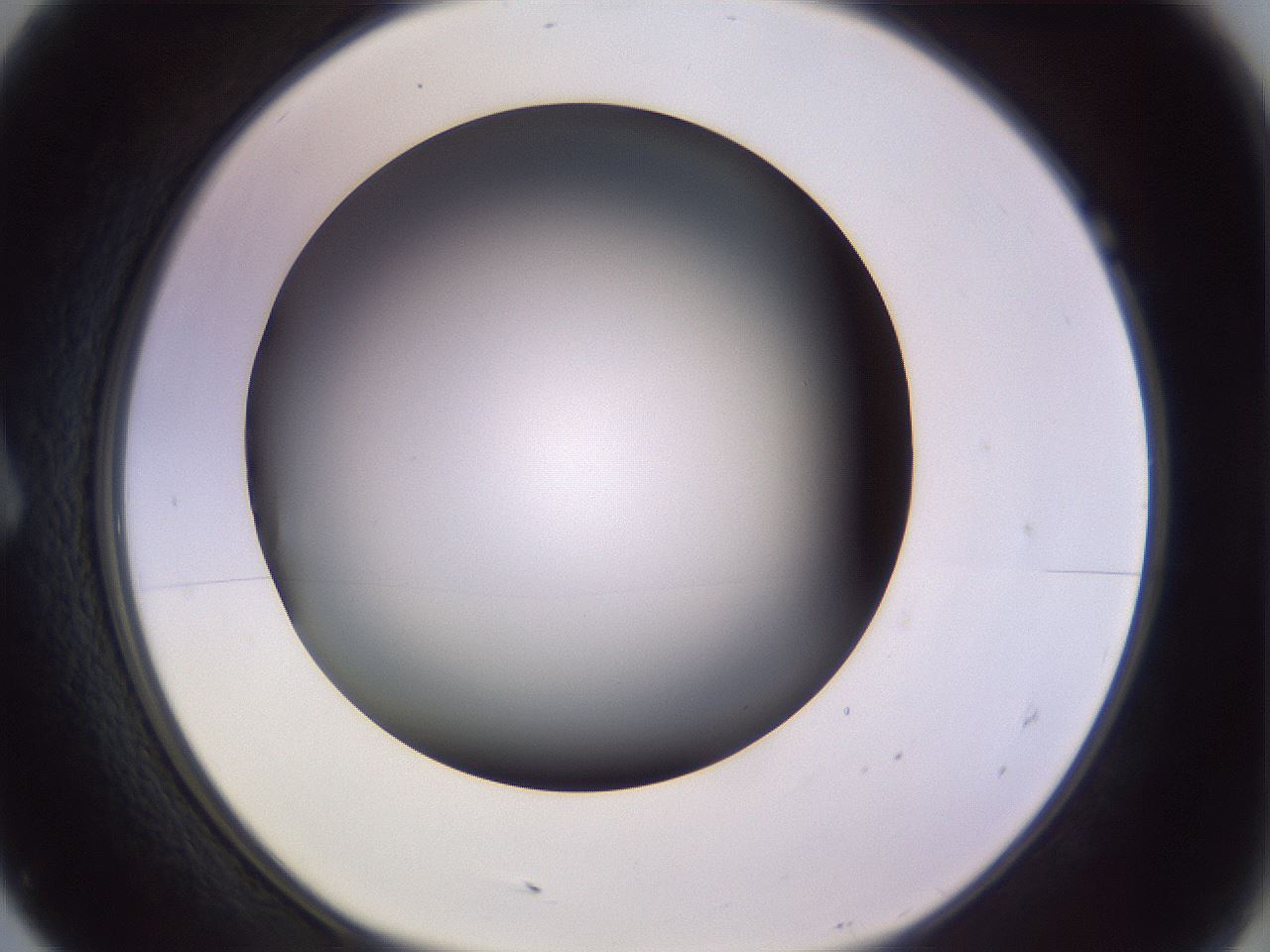 folderID350_plateID1350_batchID4705_wellNum7_profileID1_d1_r81330_ef.jpg