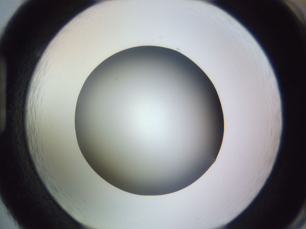 folderID350_plateID1350_batchID4705_wellNum86_profileID1_d1_r81409_ef.jpg