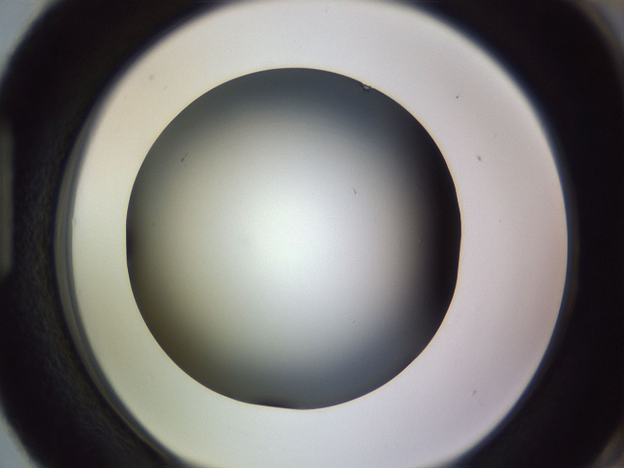folderID350_plateID1350_batchID4705_wellNum87_profileID1_d1_r81410_ef.jpg