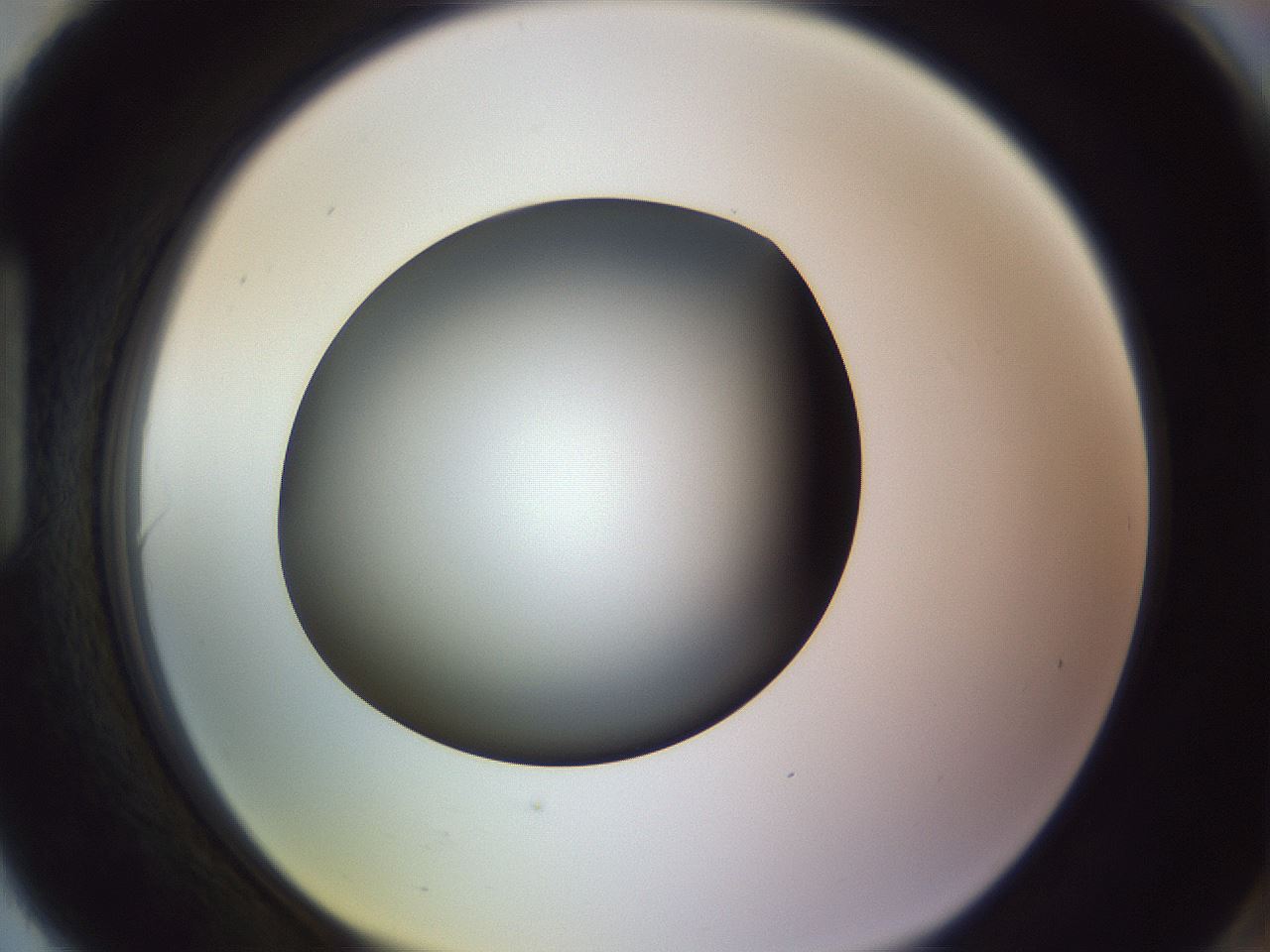 folderID350_plateID1350_batchID4705_wellNum90_profileID1_d1_r81413_ef.jpg