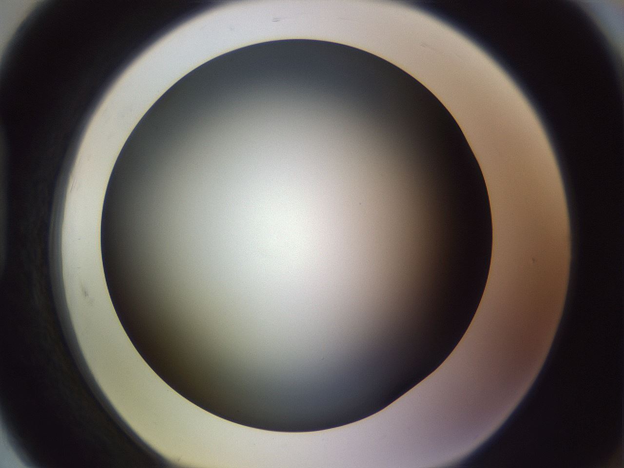 folderID350_plateID1350_batchID4705_wellNum91_profileID1_d1_r81414_ef.jpg