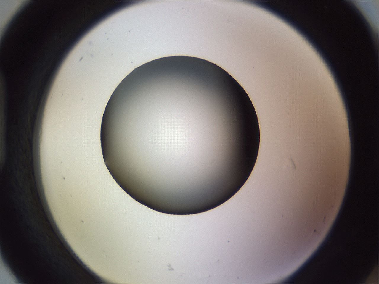folderID350_plateID1350_batchID4705_wellNum92_profileID1_d1_r81415_ef.jpg