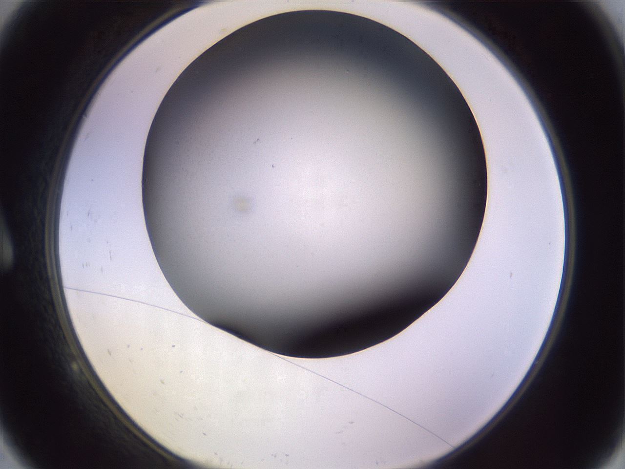 folderID350_plateID1350_batchID4705_wellNum9_profileID1_d1_r81332_ef.jpg
