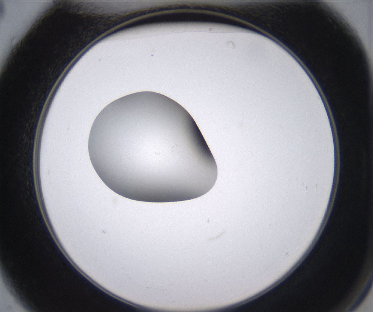 folderID350_plateID2350_batchID11073_wellNum4_profileID1_d2_r166730_ef.jpg